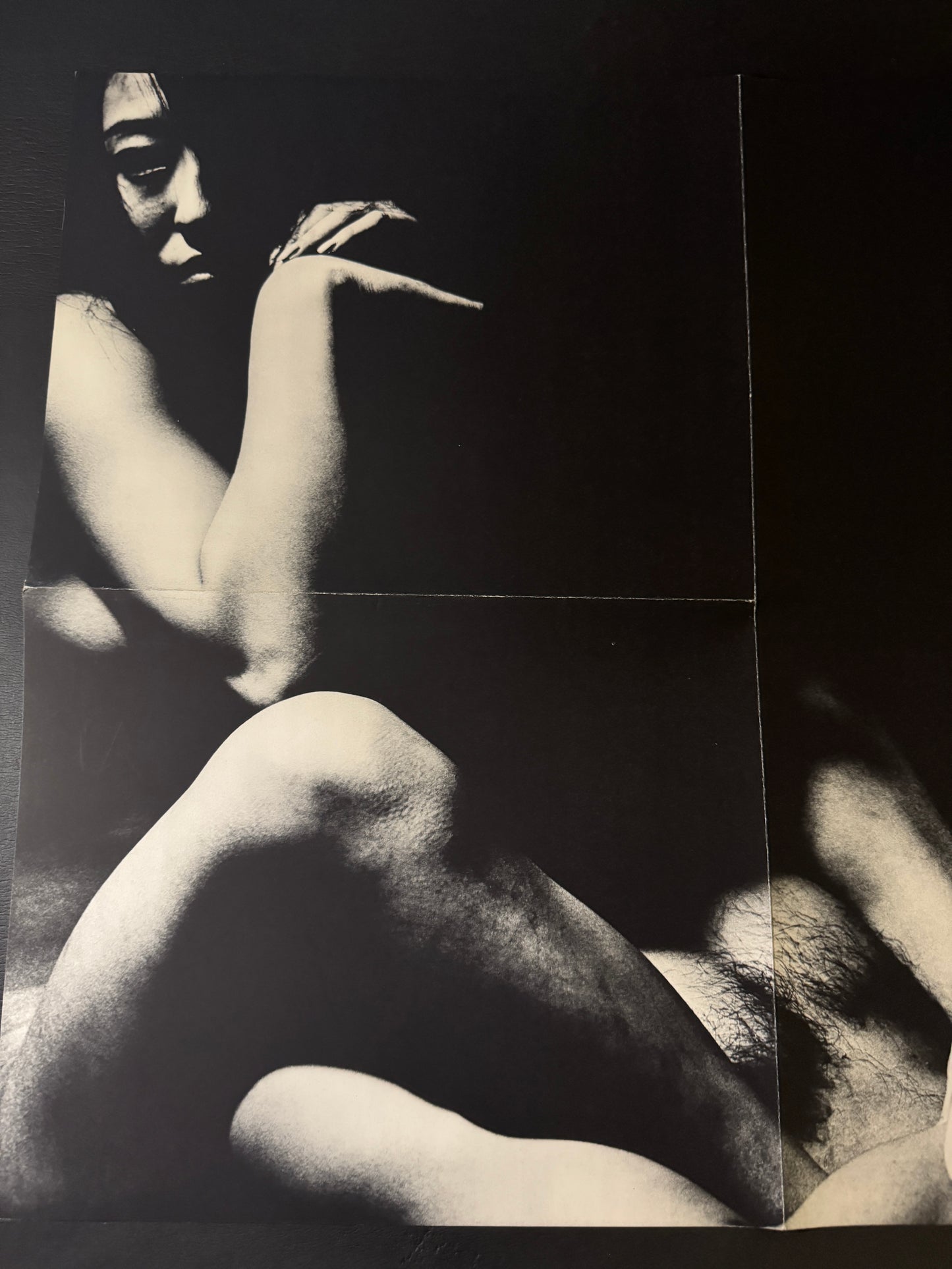 Beast love : The Third Venus