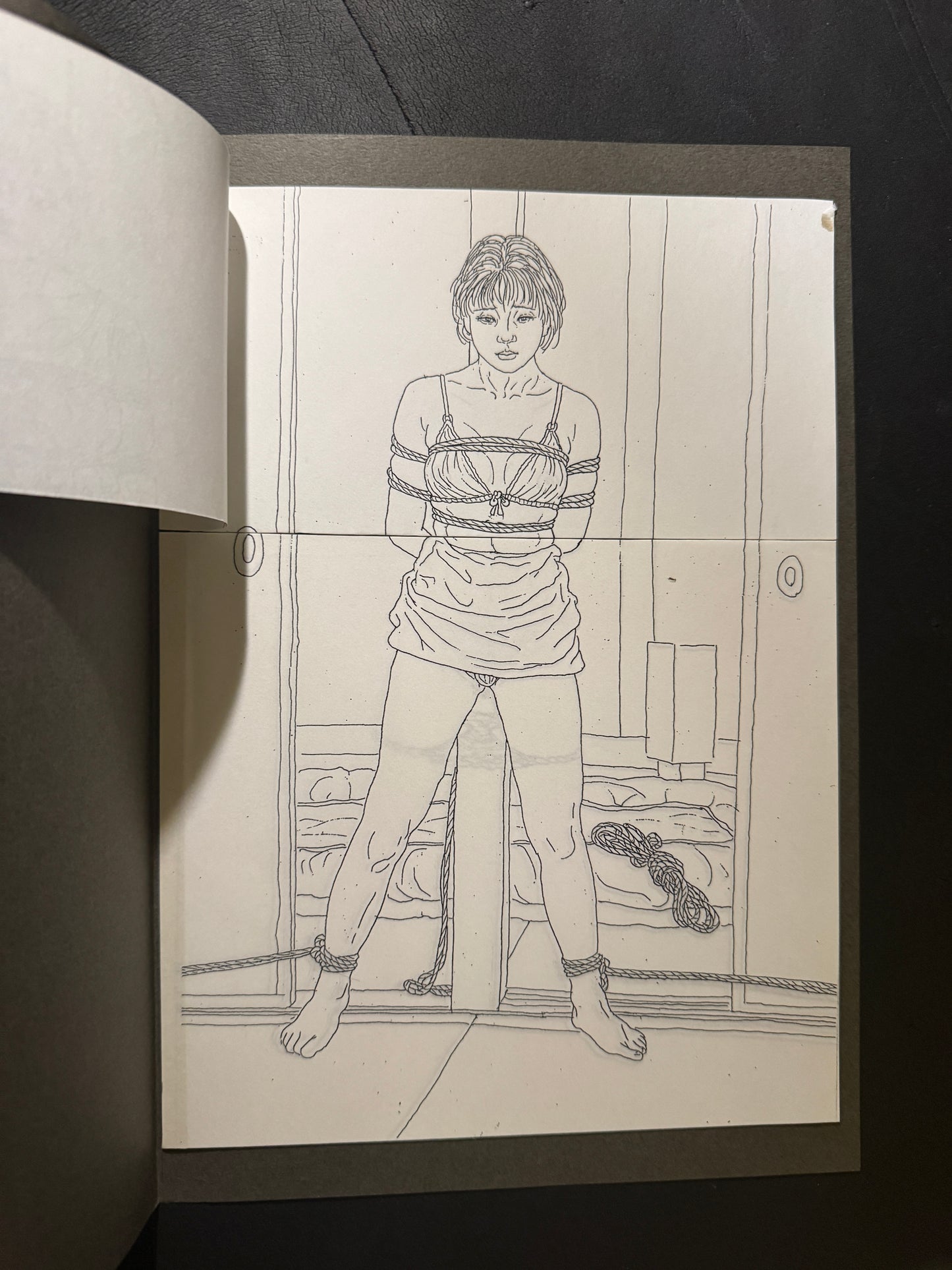 Rope Bondage and Whip Hell -Tetsumu Nagasaki 5 hand made pop up book set