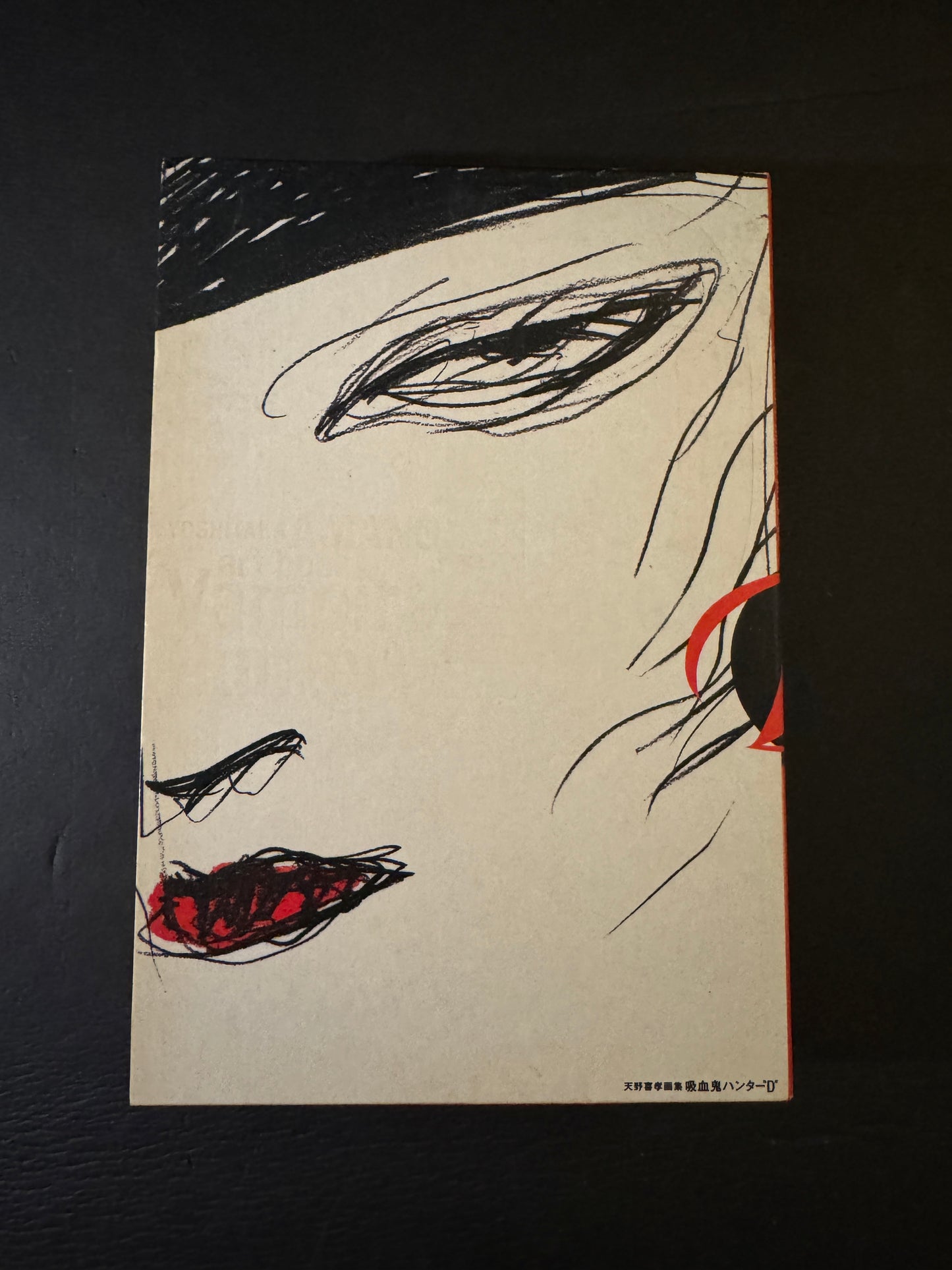 VAMPIRE HUNTER D