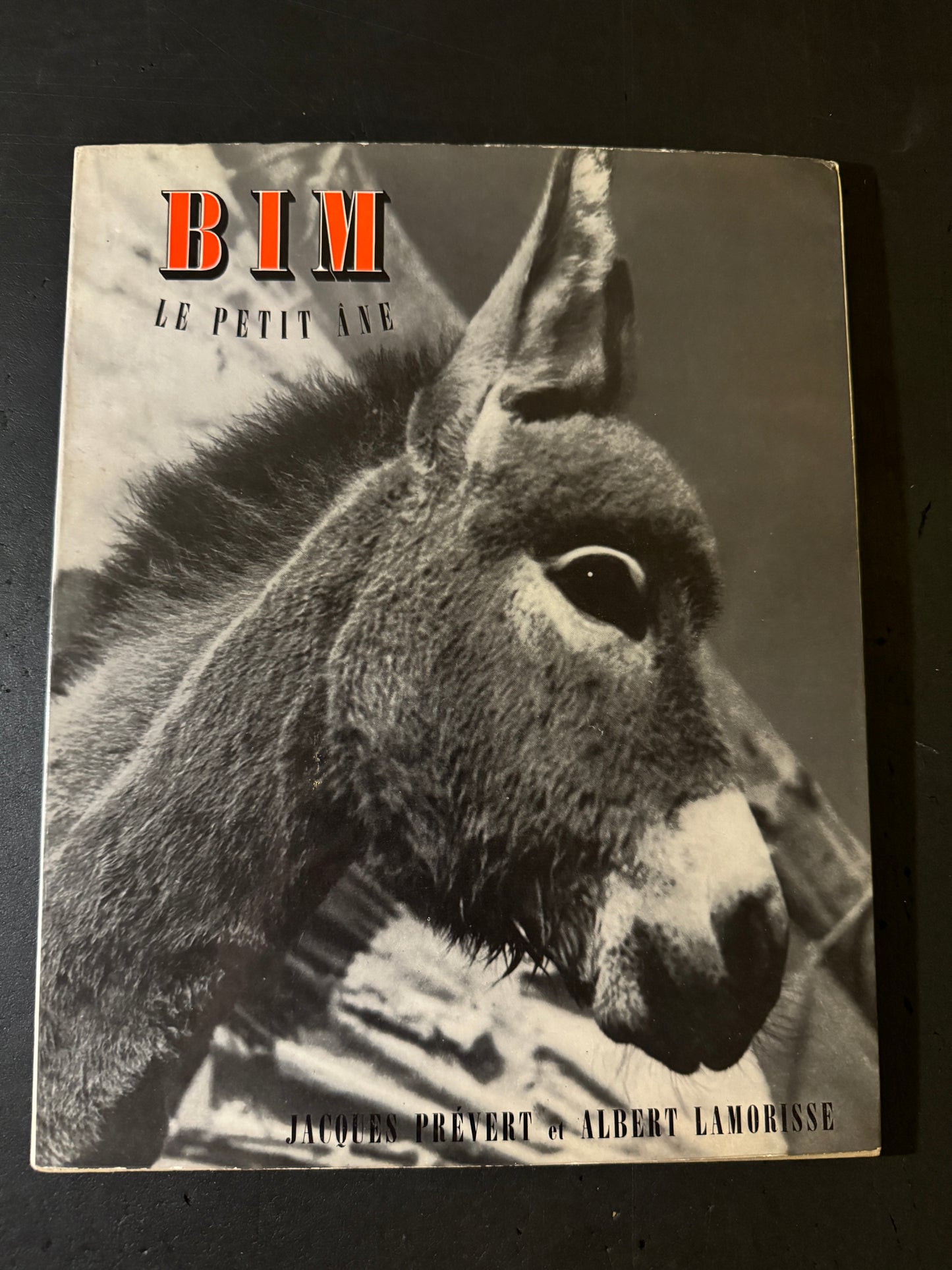 BIM LE PETIT ANE