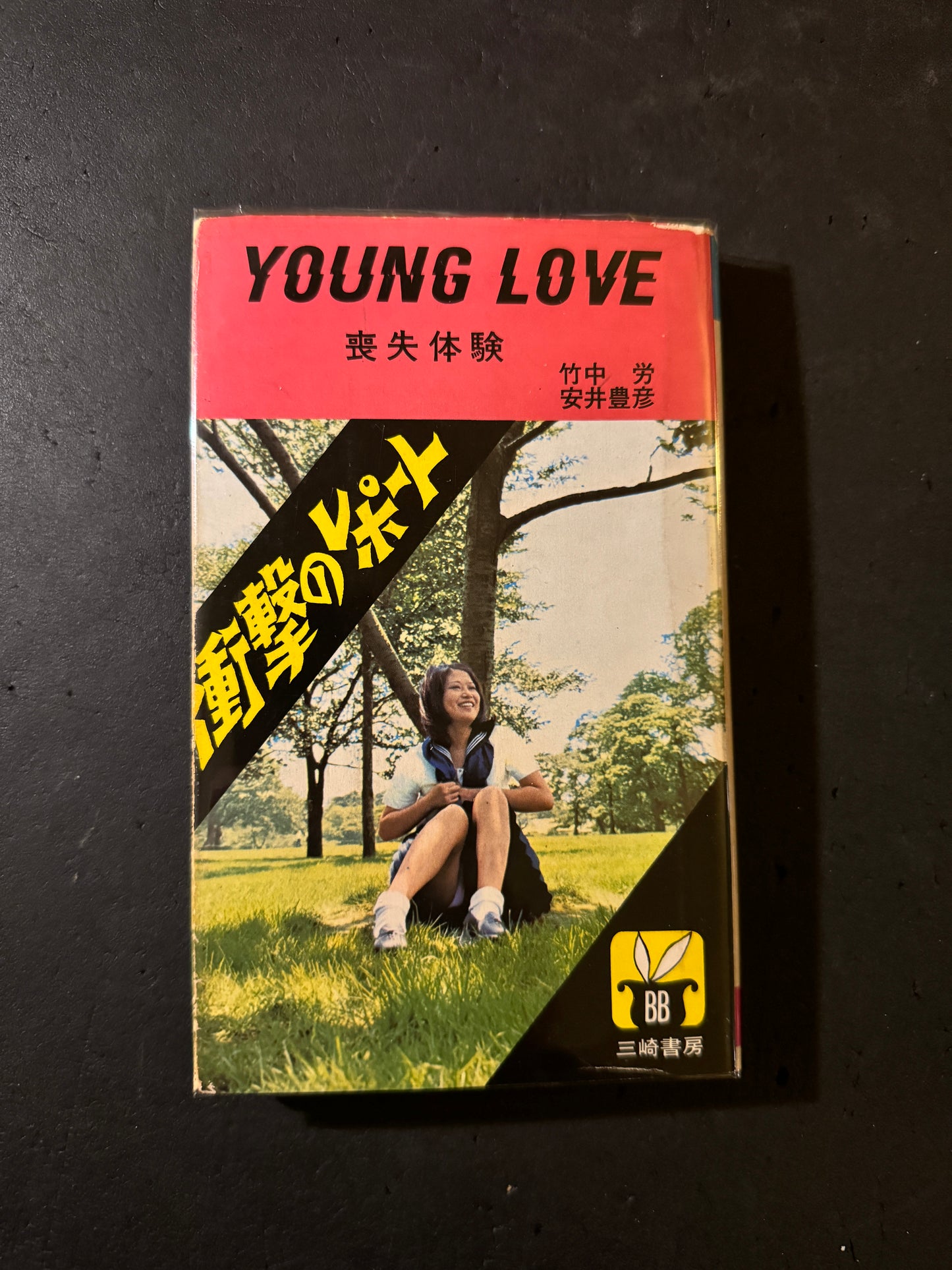 YOUNG LOVE