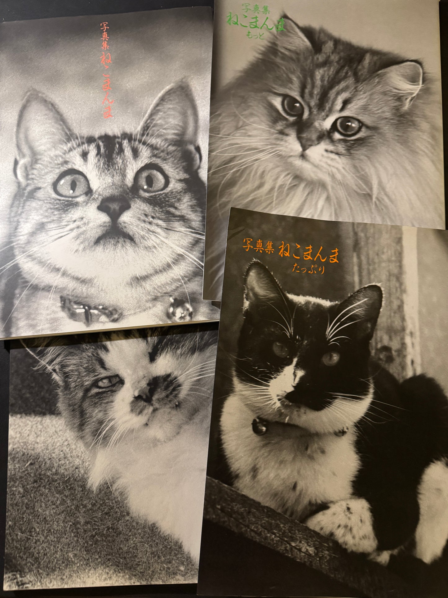 NEKO MANMA 4 issues complete set