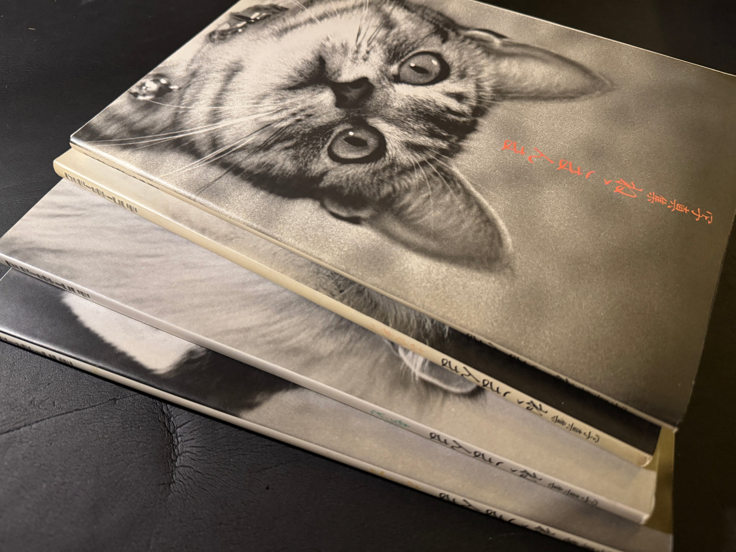NEKO MANMA 4 issues complete set