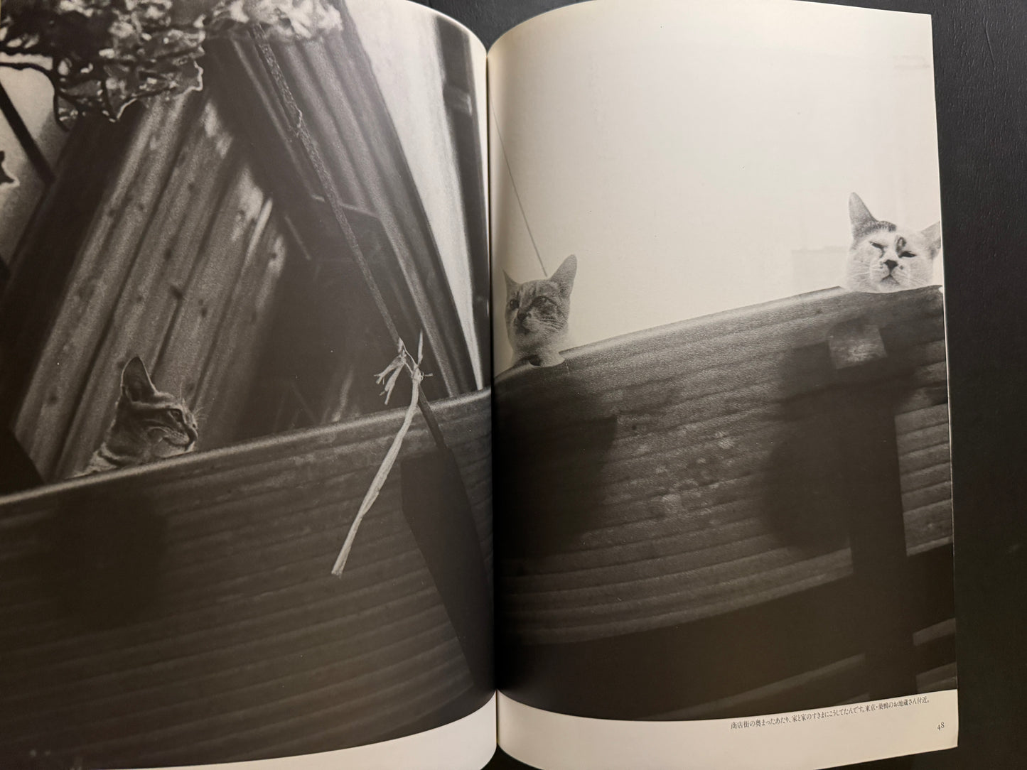 NEKO MANMA 4 issues complete set