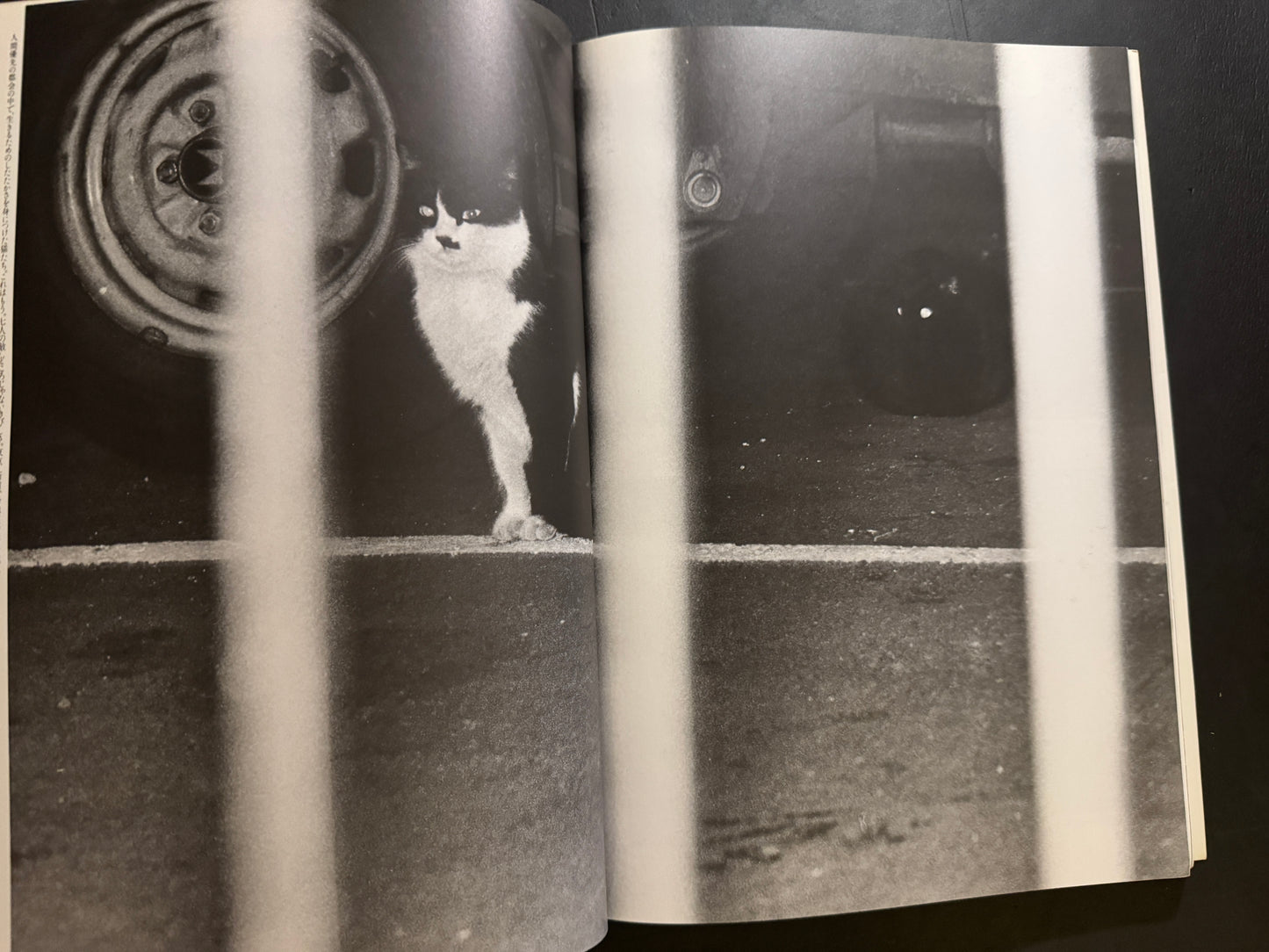 NEKO MANMA 4 issues complete set