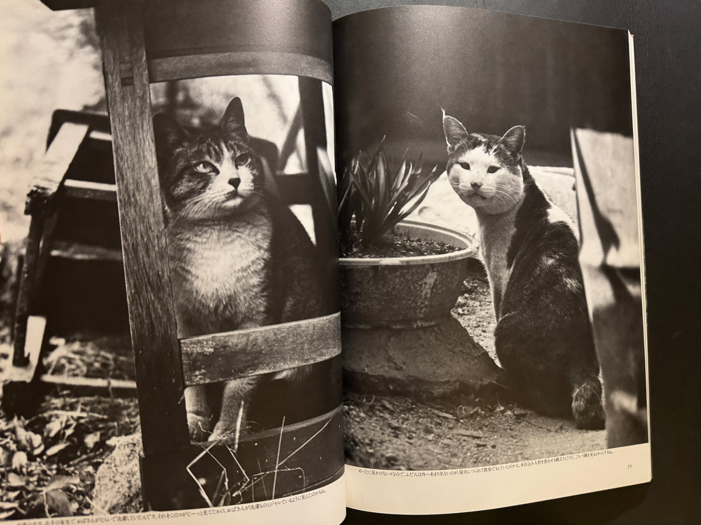 NEKO MANMA 4 issues complete set