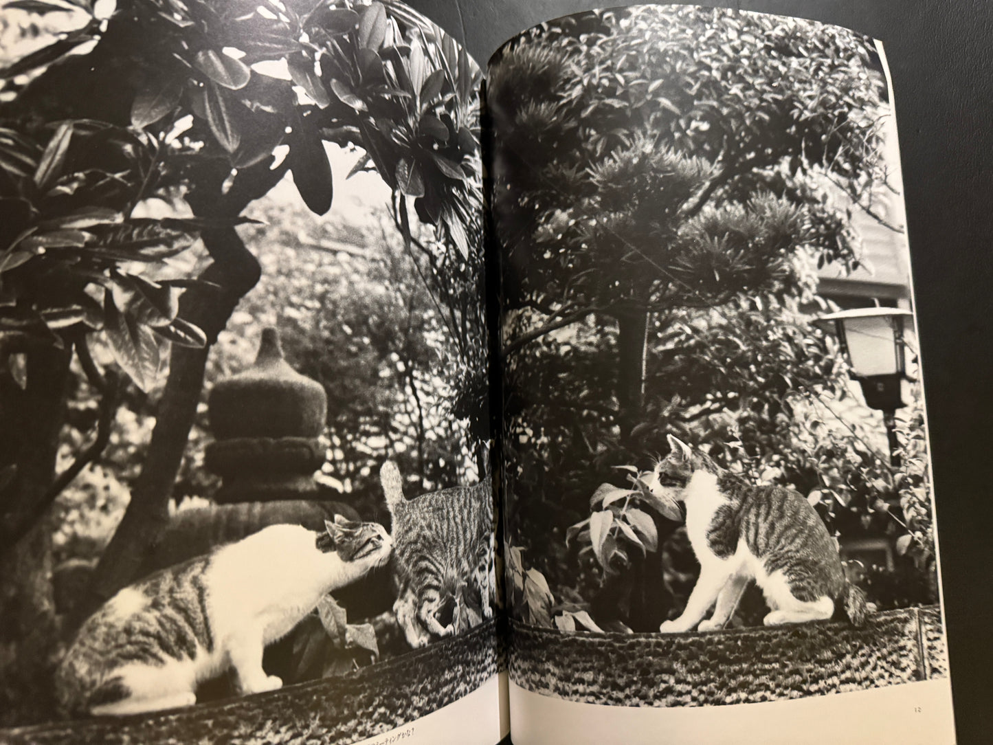 NEKO MANMA 4 issues complete set