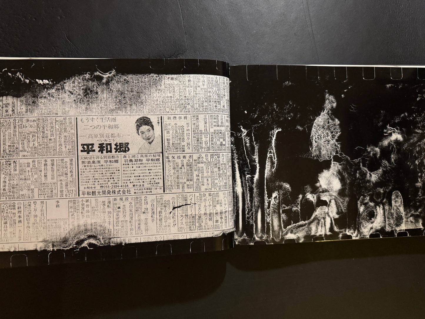 Shigenjitsu (Death Reality)