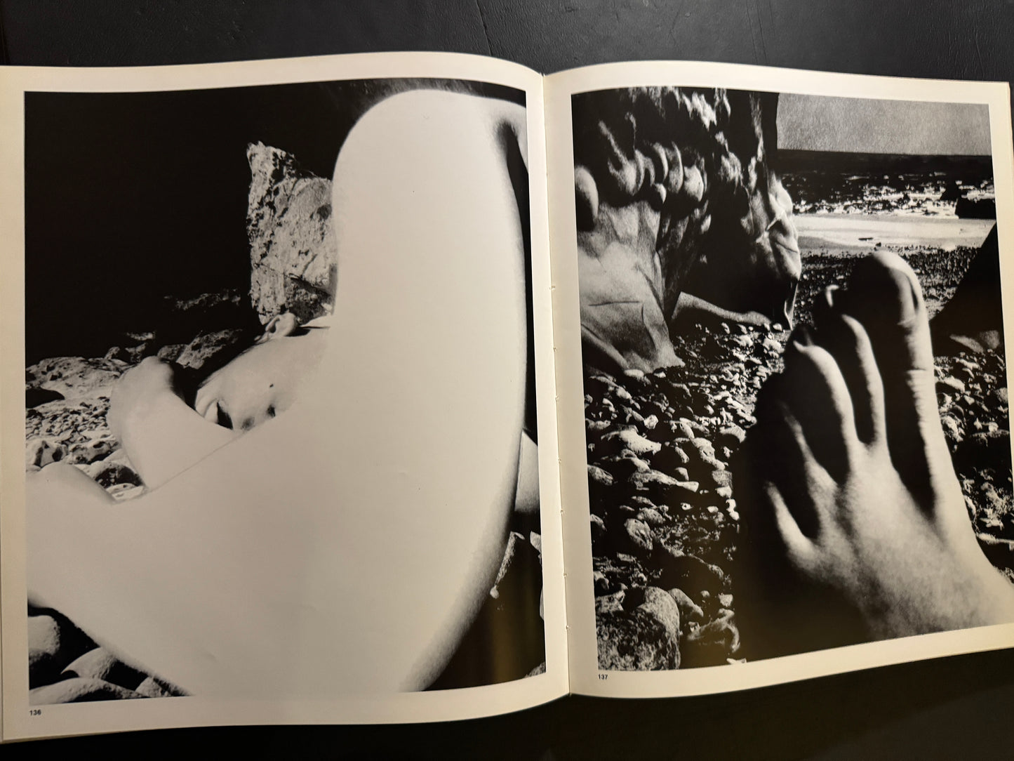 SHADOW OF LIGHT(Japanese edition)