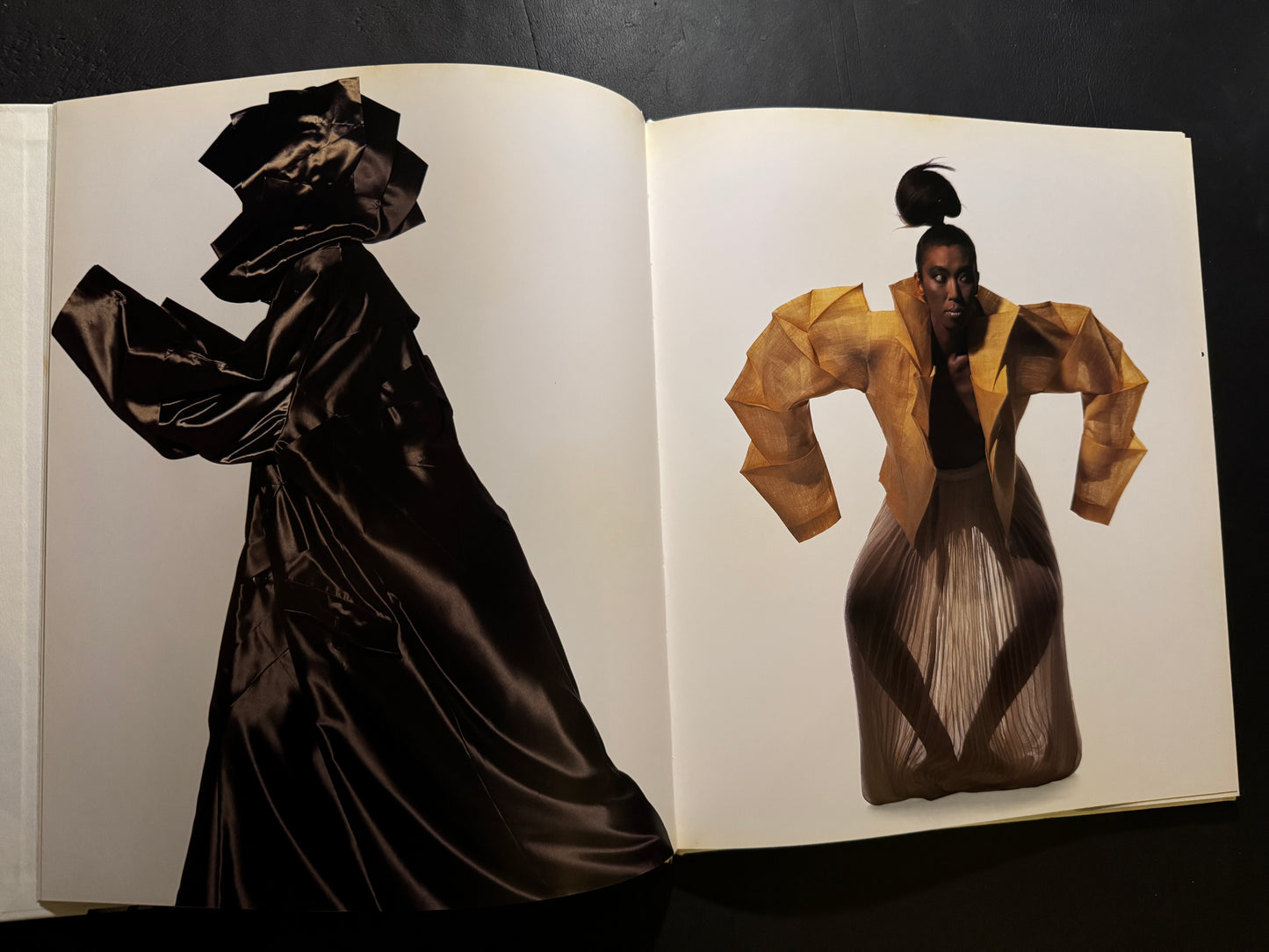 ISSEY MIYAKE BY IRVING PENN