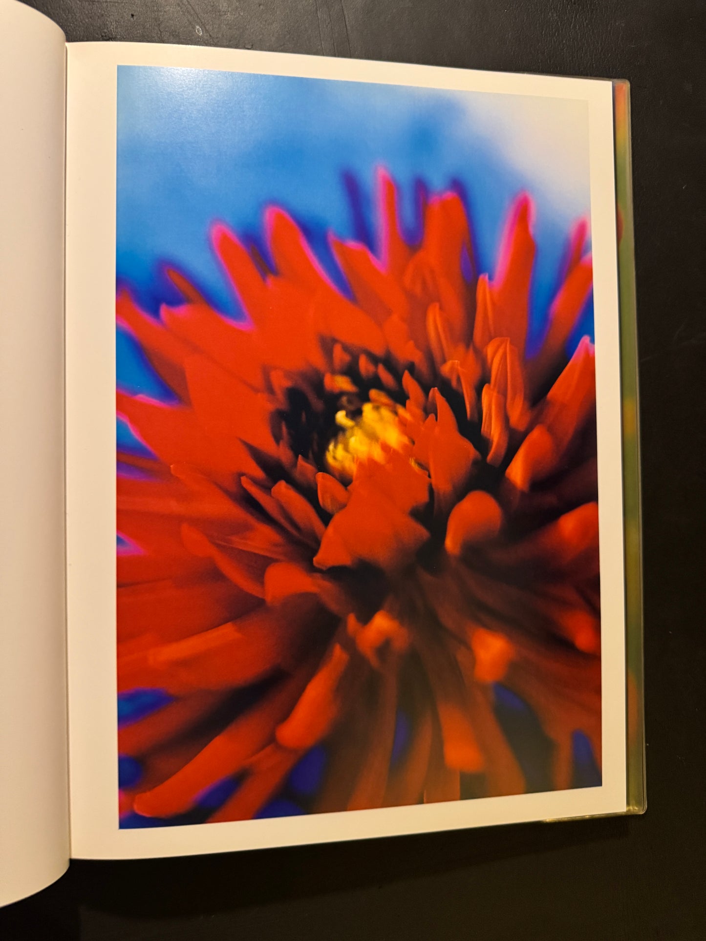 Acid Bloom