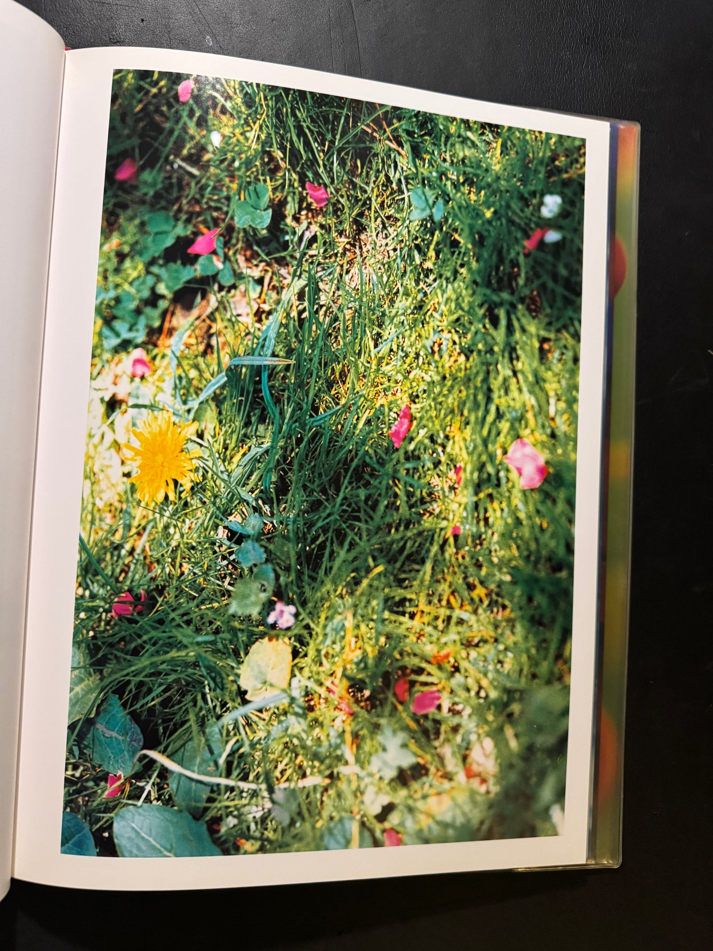 Acid Bloom