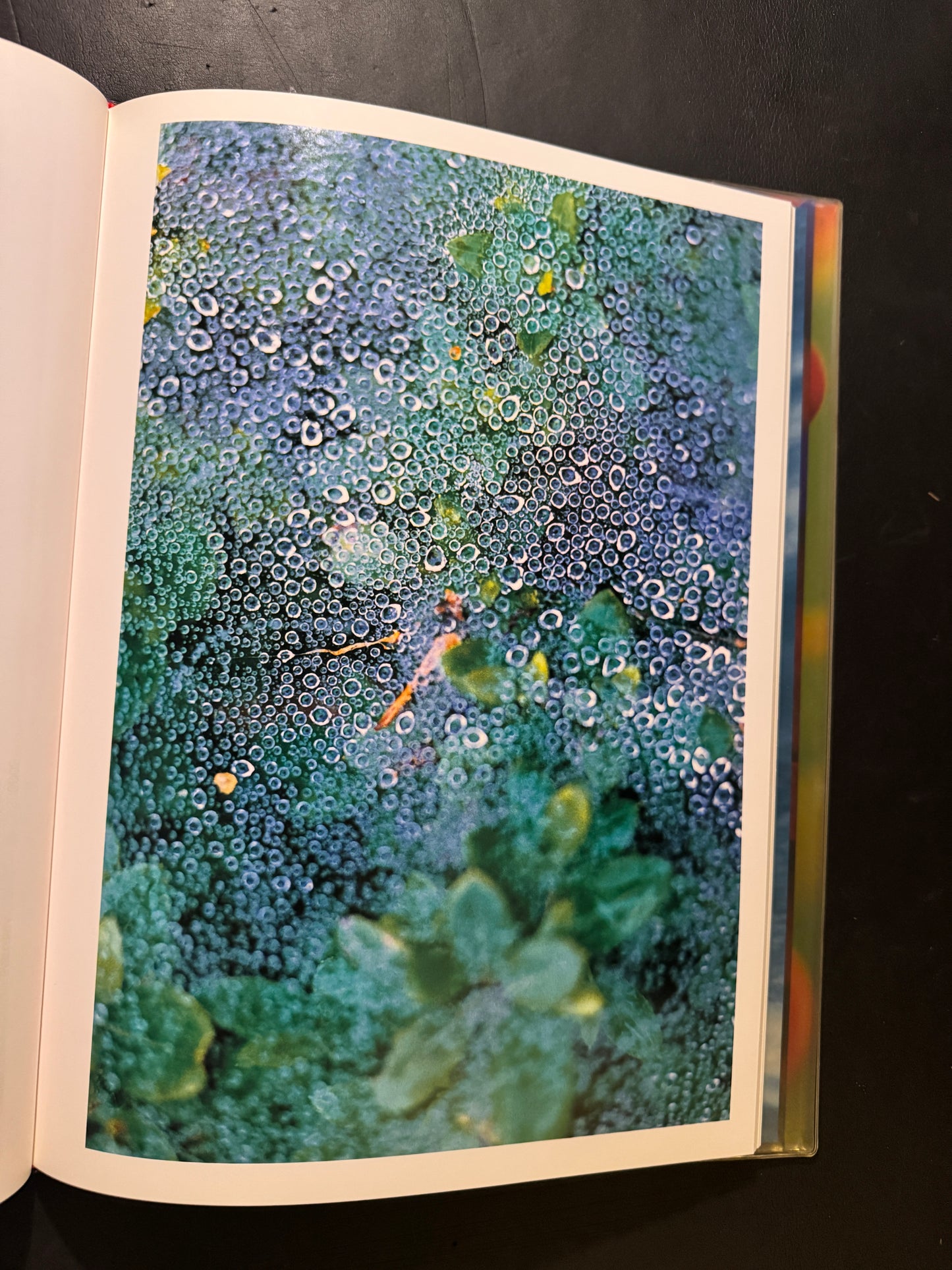 Acid Bloom