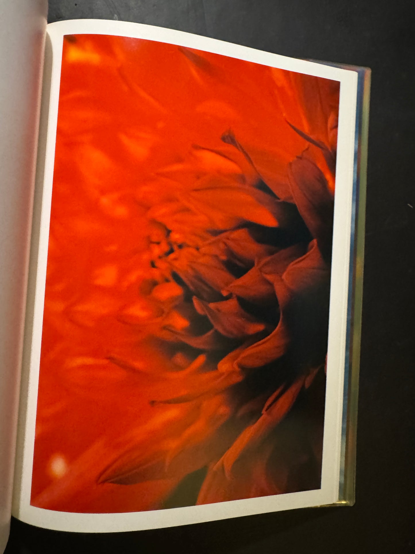 Acid Bloom