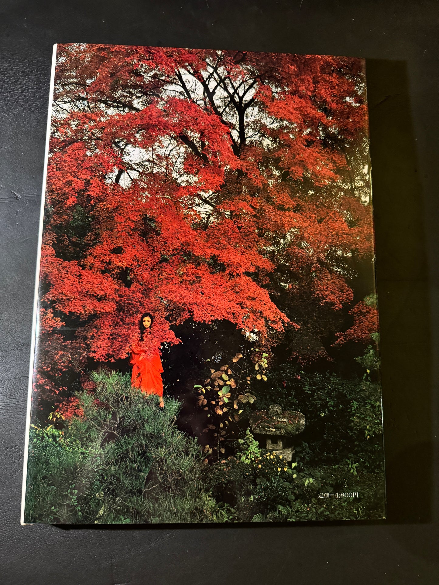 HANAKESHI(The Air of Blossoming Spring)