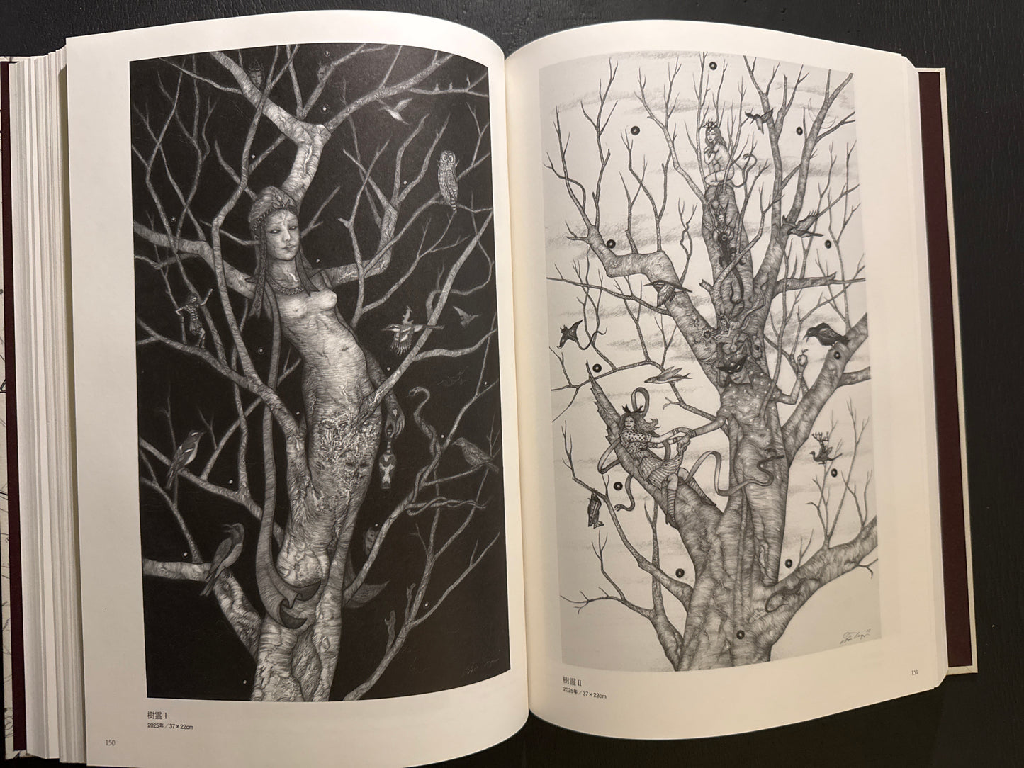 The World of Shin Taga