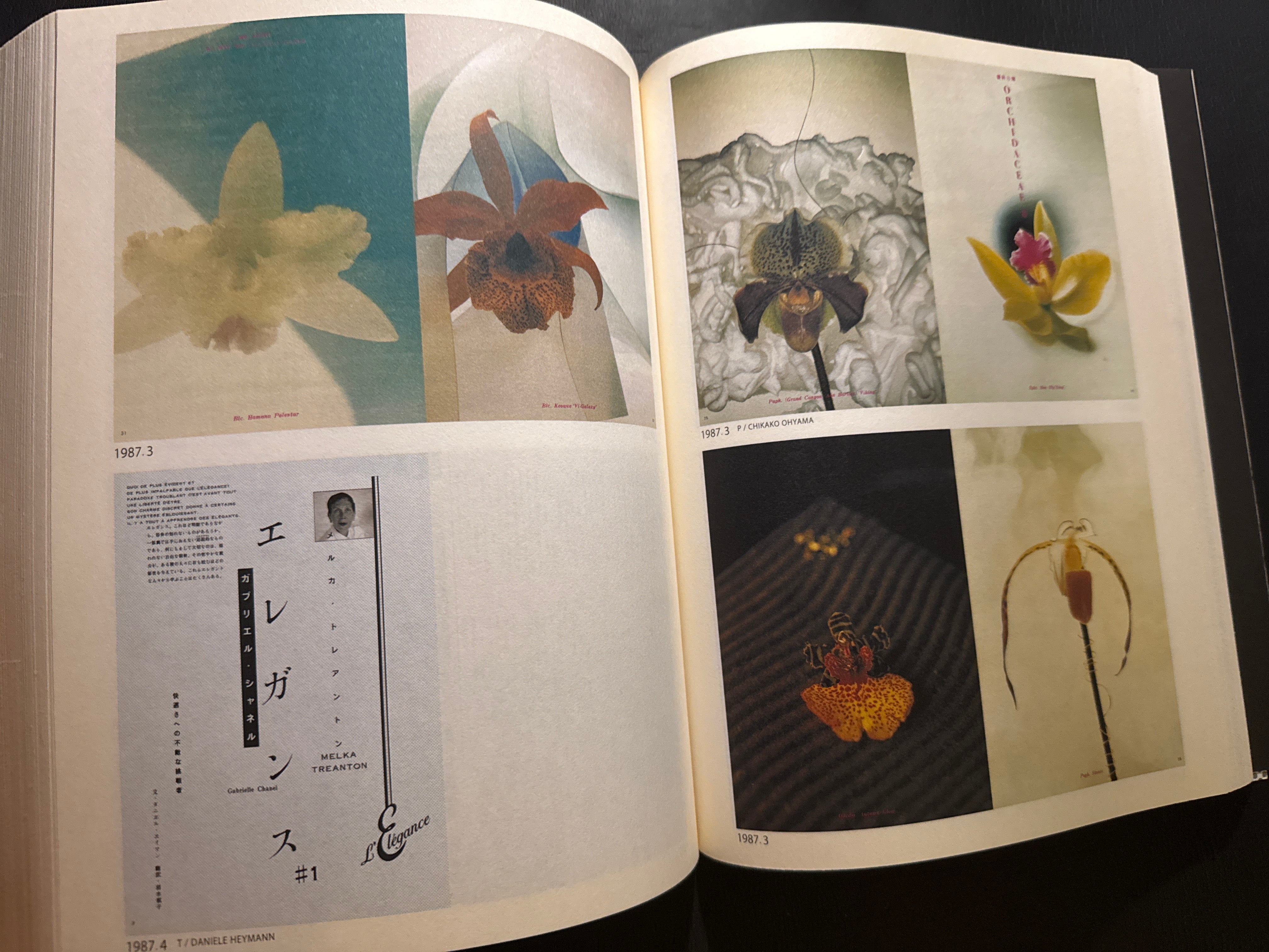 花椿ト仲条 Hanatsubaki 1968―2008 Amazon.co.jp: 花椿ト仲條: Hanatsubaki1968-2008 : 仲條 正義: 本