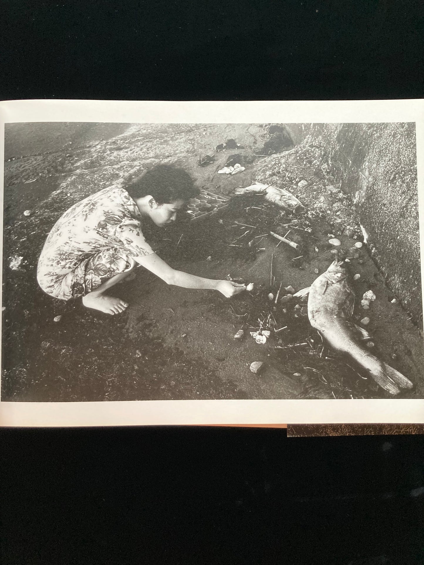 "Sawa" Nobuyoshi Aqaki CINEPHOTOGRAPH
