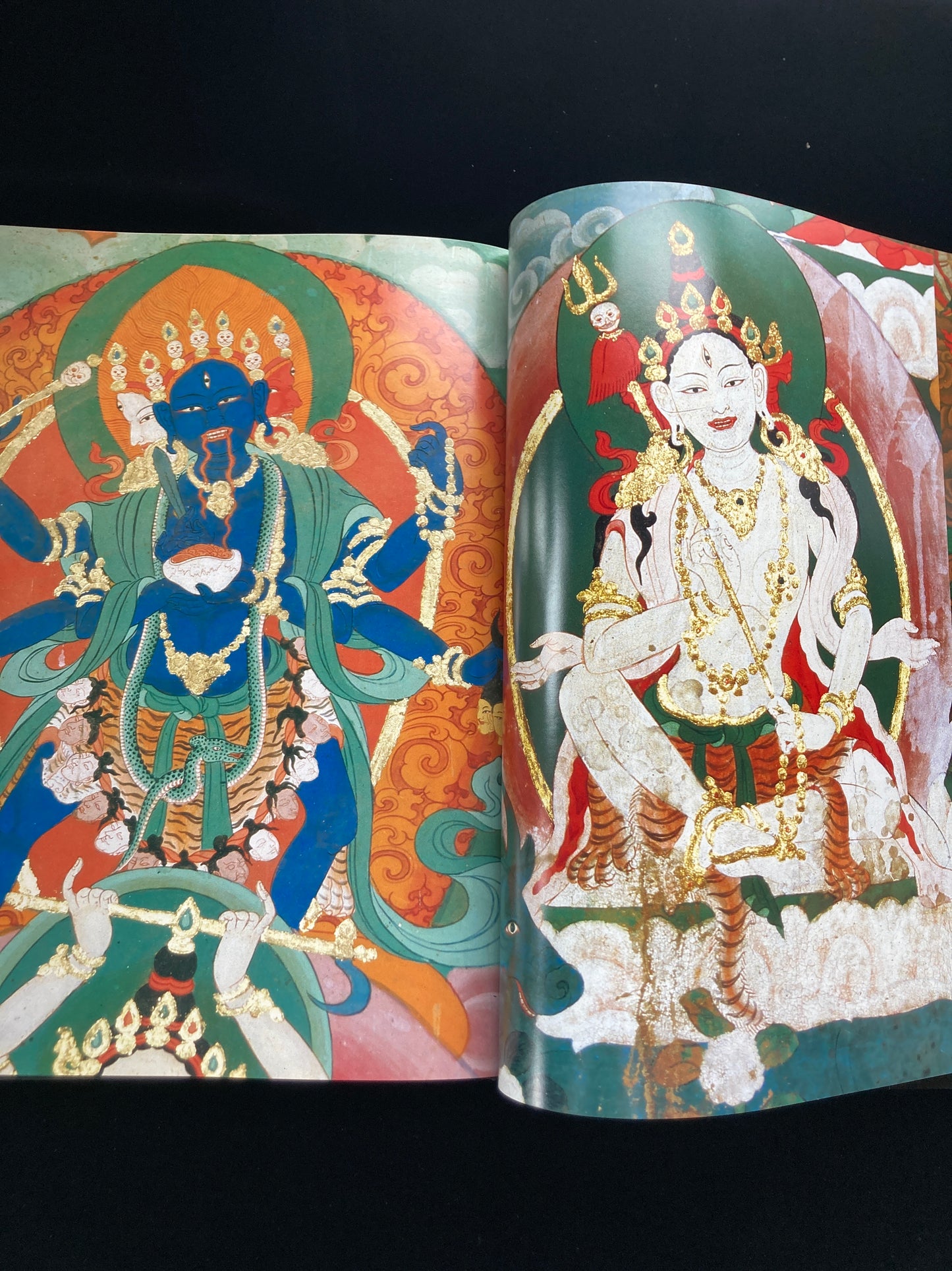 Masaji Hanazawa Photo Collection
“Shashin Shimadana”