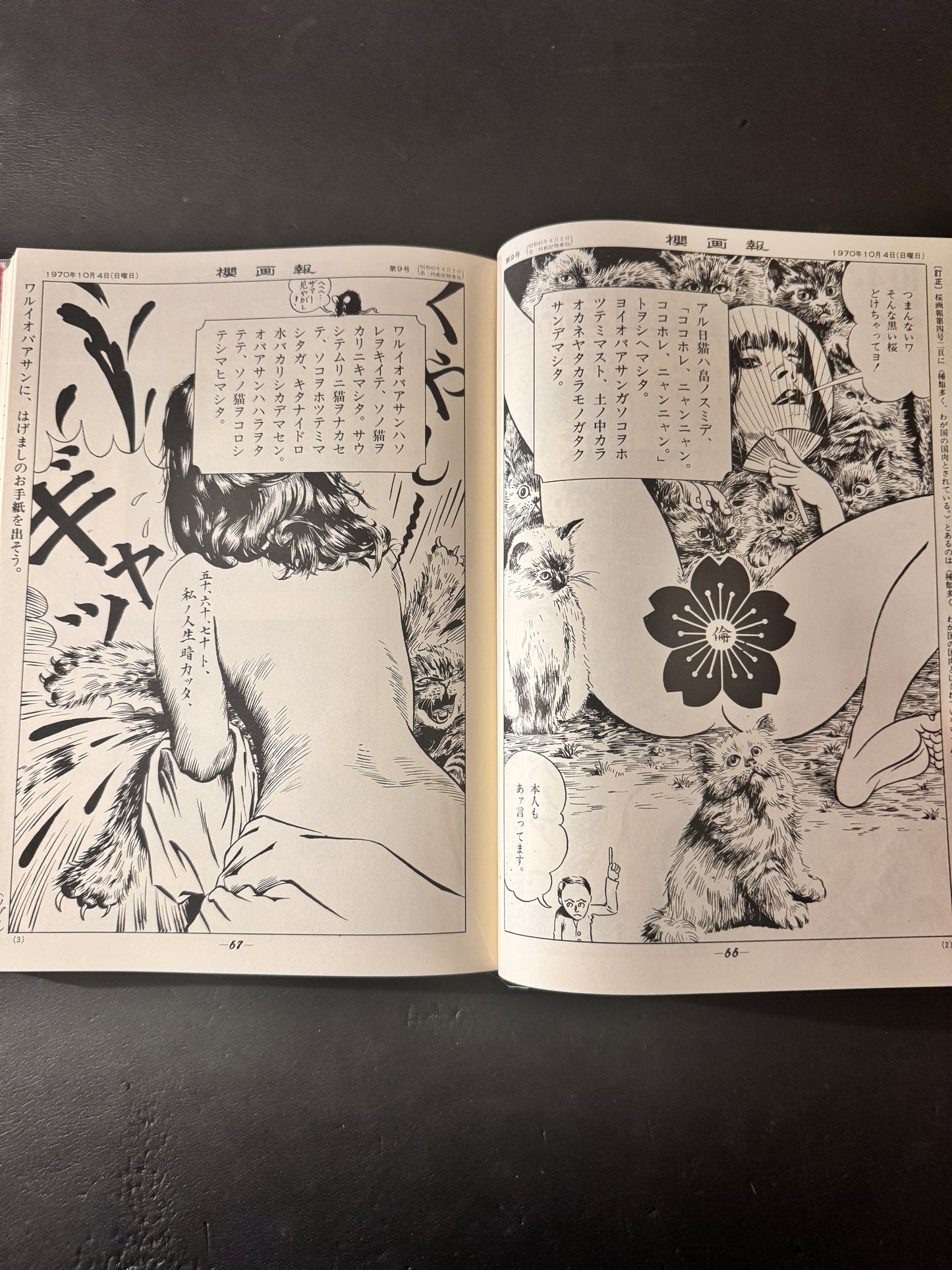 Sakura Gaho Collector’s edition