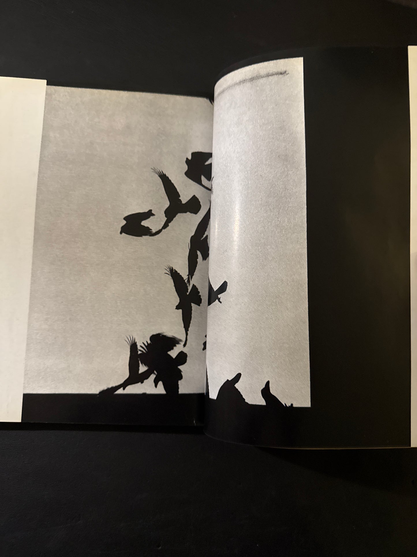 The Photo Image 10 issues complete set