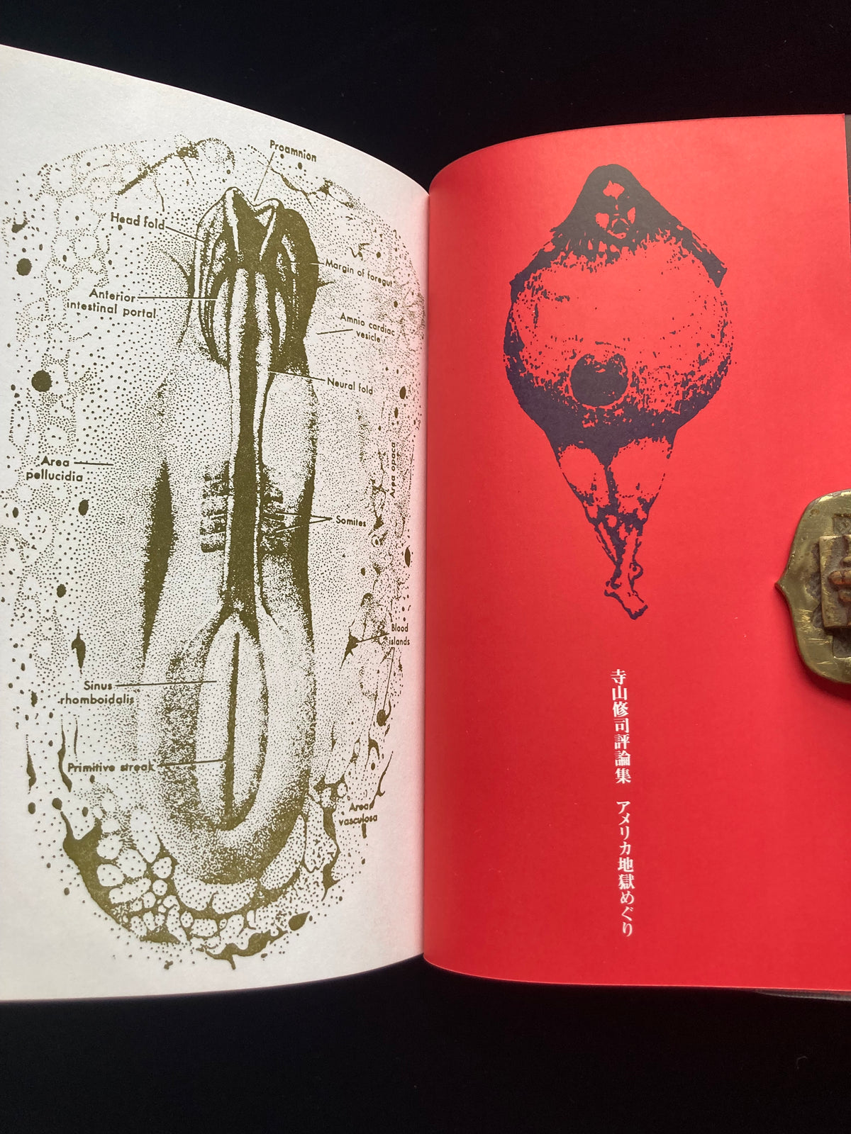 Collected Critical Essays by Shuji Terayama
A Tour of Hell in America