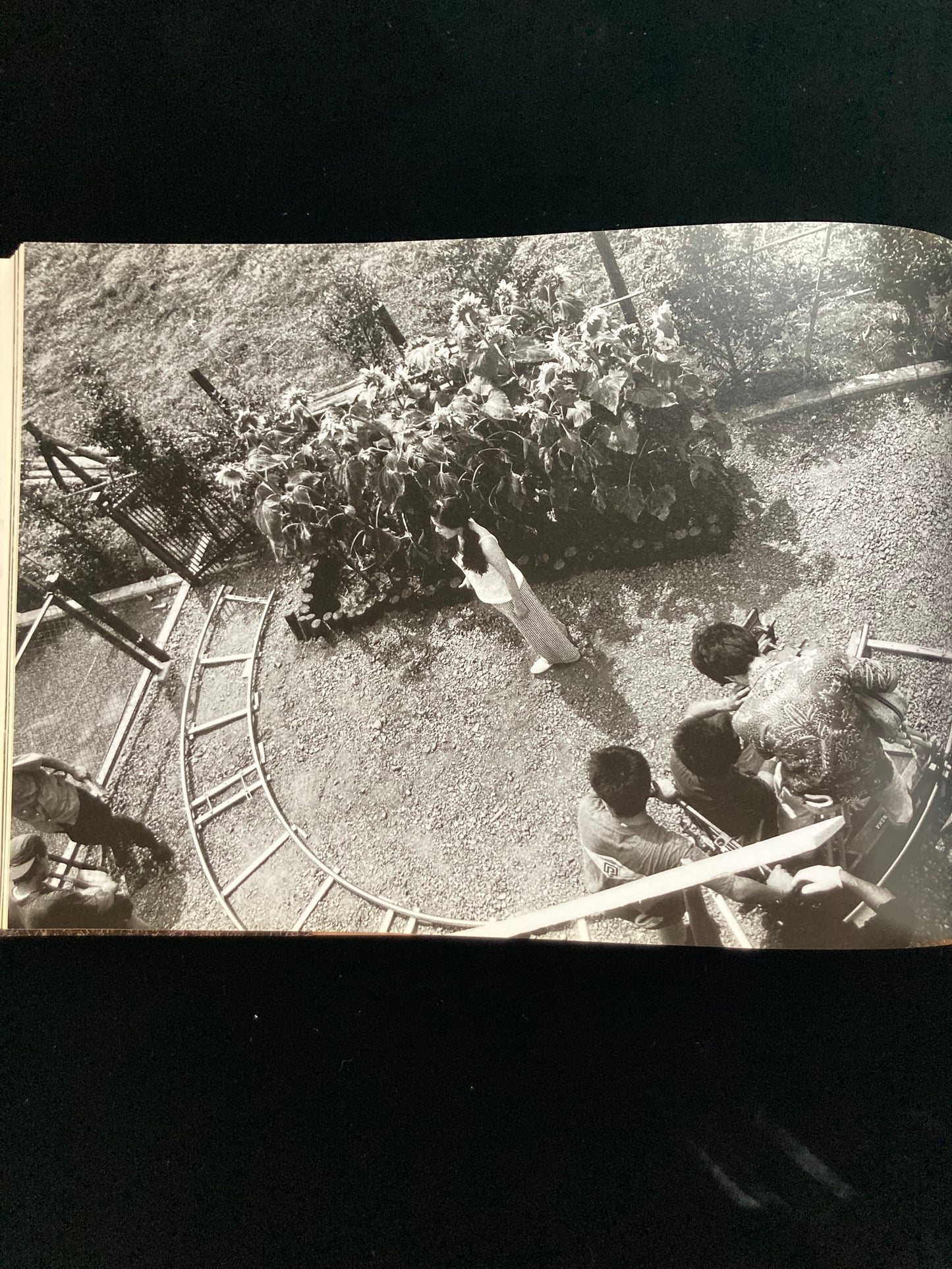 "Sawa" Nobuyoshi Aqaki CINEPHOTOGRAPH