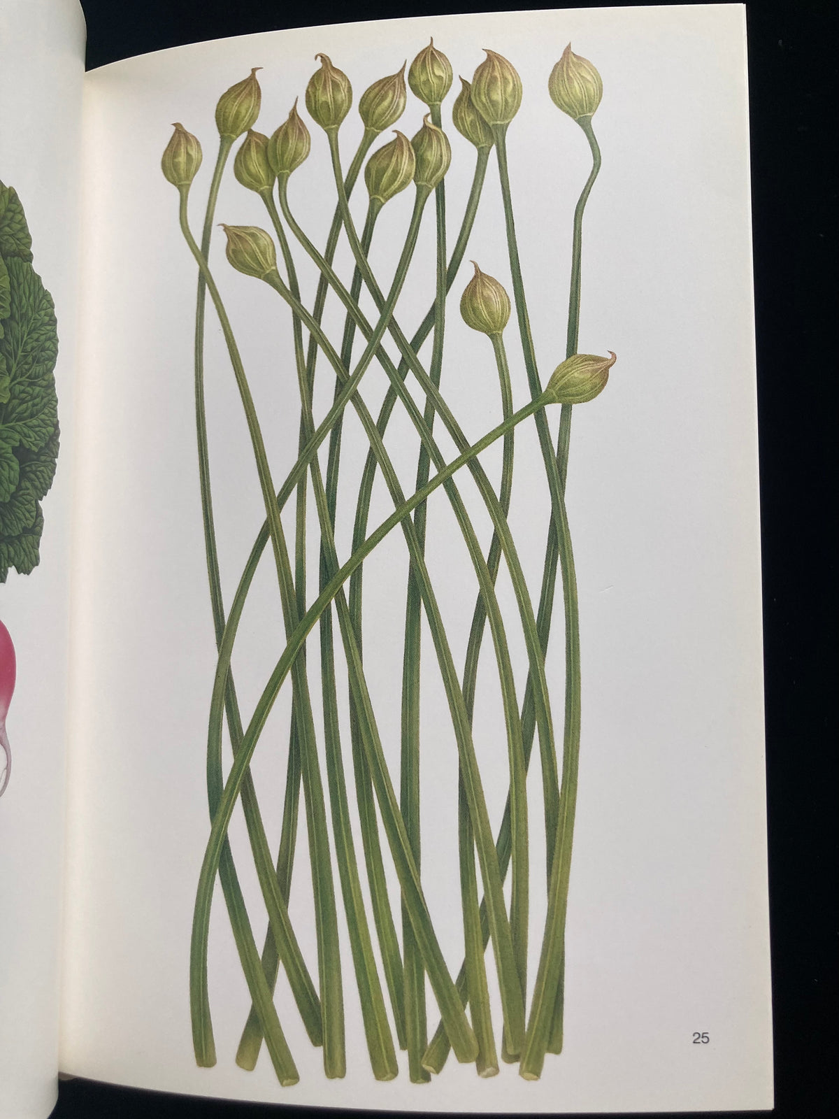 Tadashi Ohara(World Graphic Design 28)