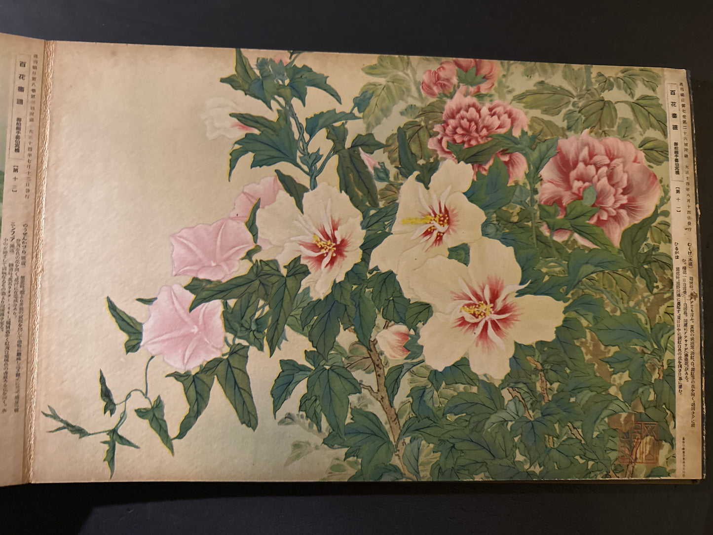 Hyakka: An Illustrated Collection of a Hundred Flowers