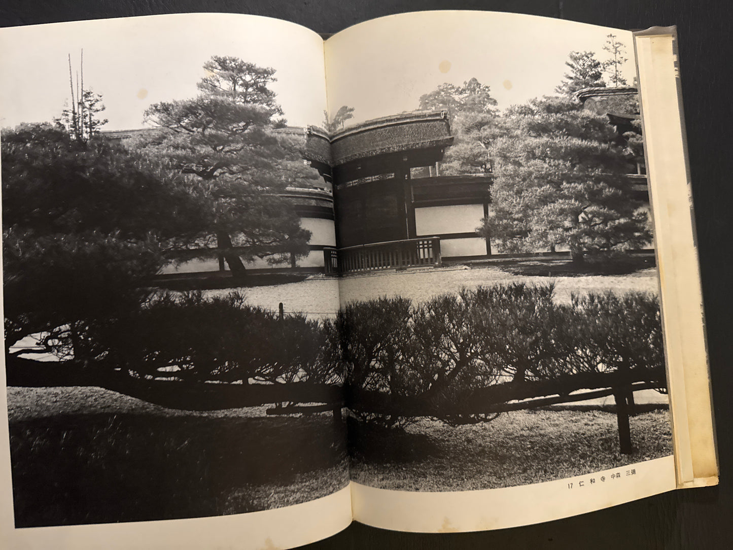 Selected Works of NANIWA SHASHIN CLUB 60th anniversary 1966