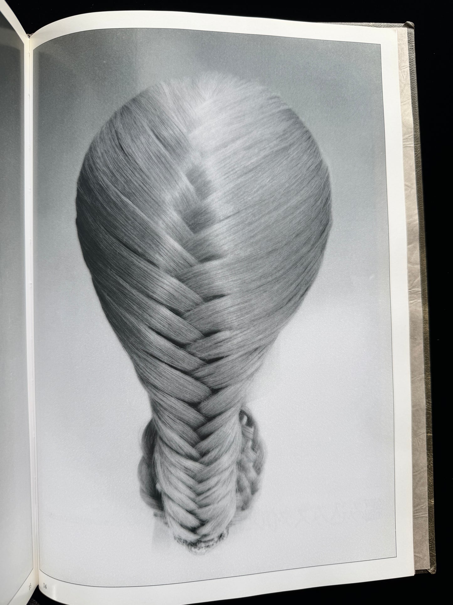 Braided hairstyle