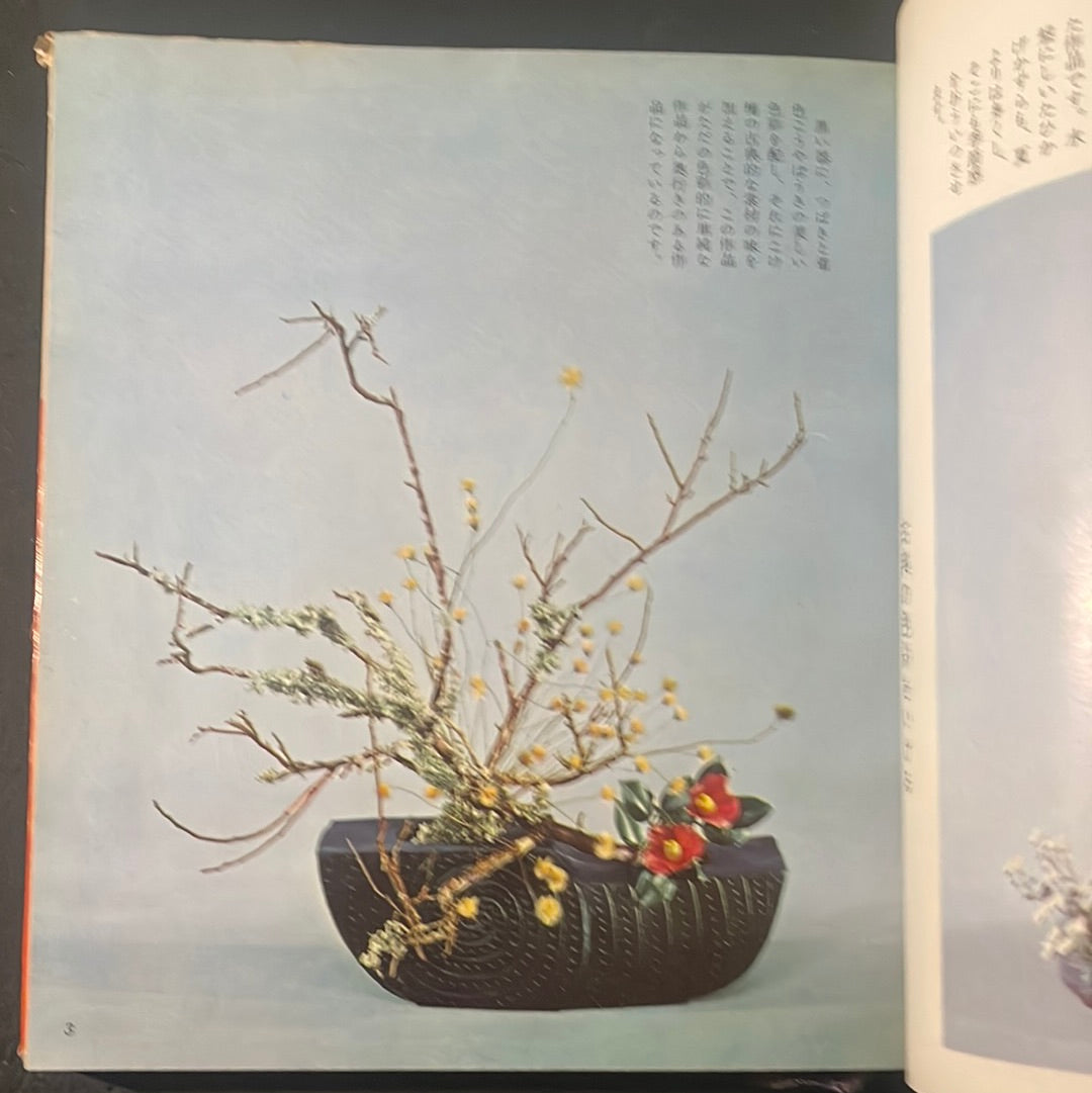 Ikebana graphic complete set