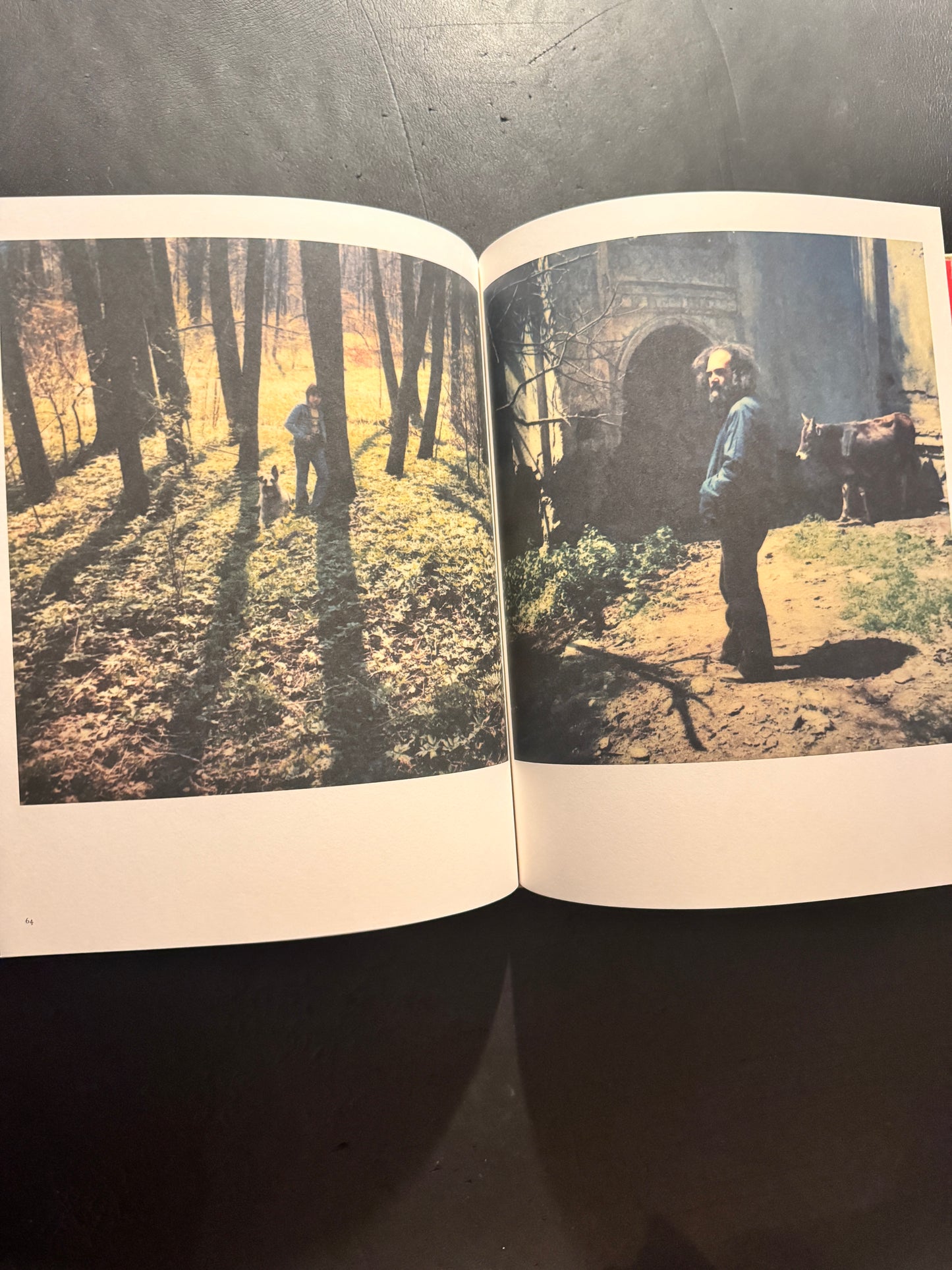 Bright, Bright Day (Russian edition)