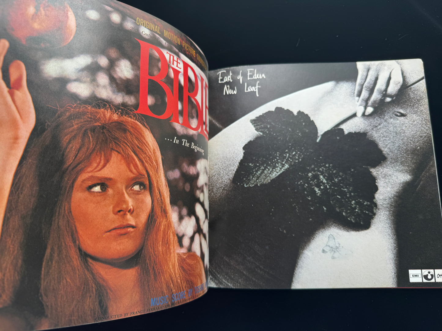 Genesis: A Collection of Record Covers