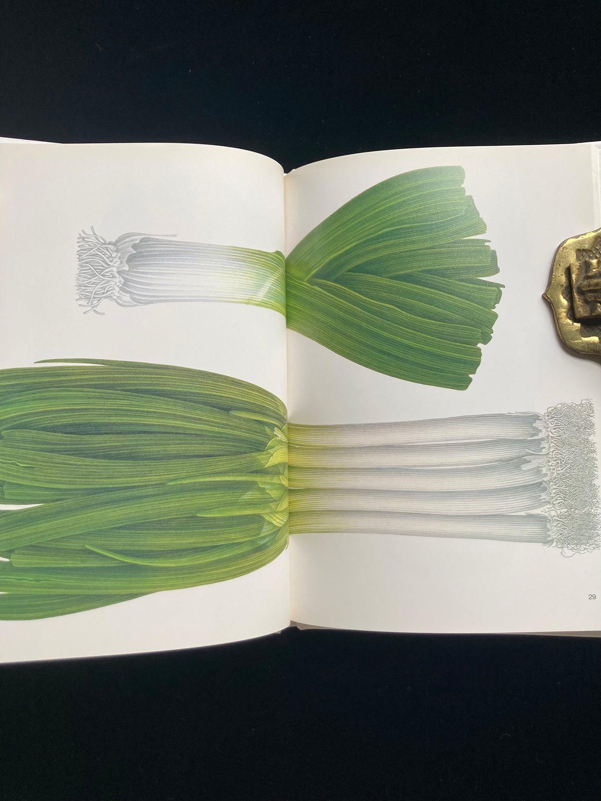Tadashi Ohara(World Graphic Design 28)