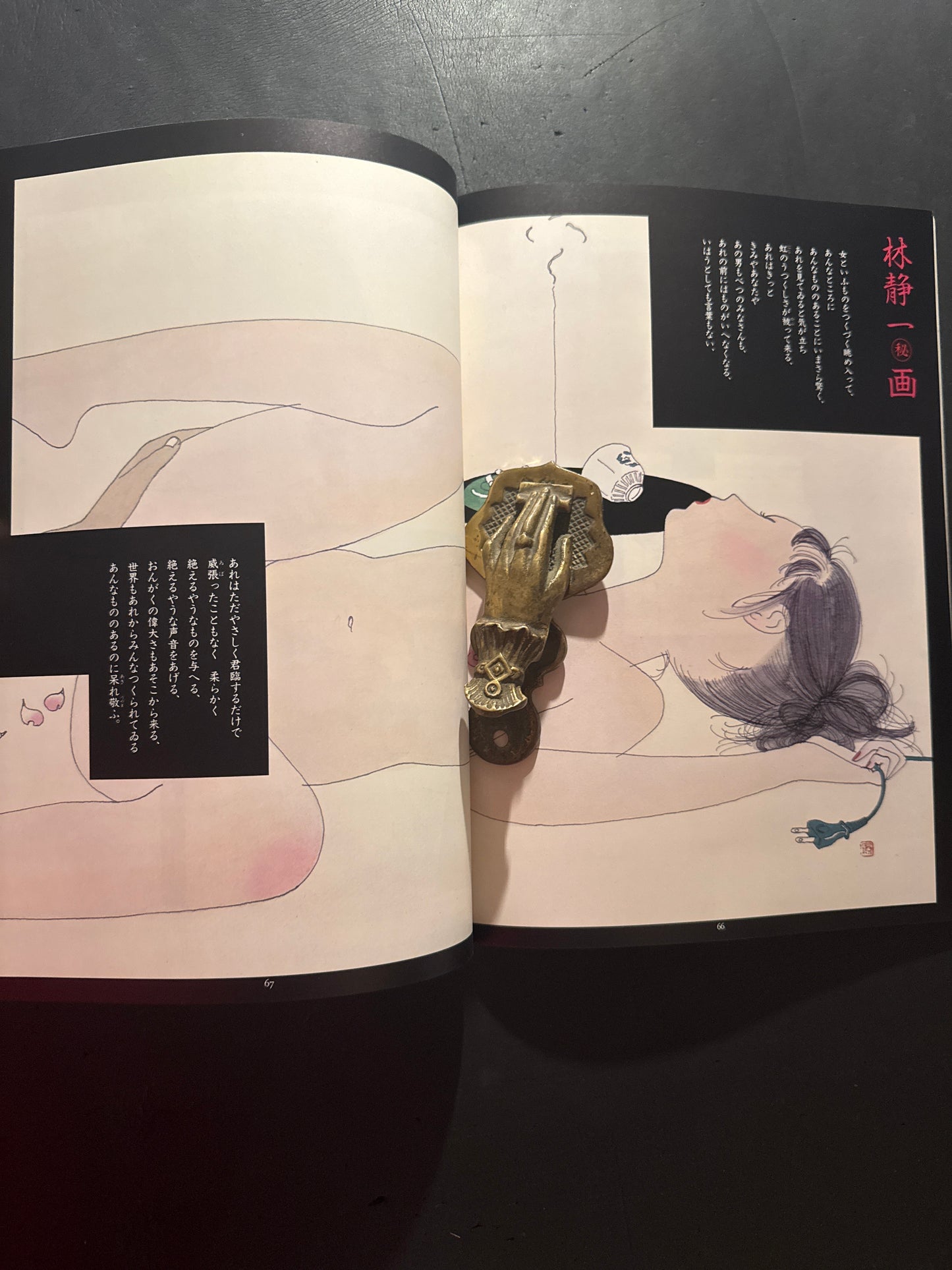 The World of Seiichi Hayashi