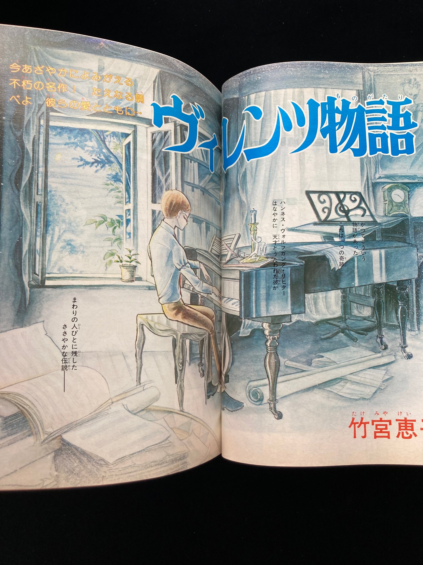 "Flower Deluxe" Keiko Takemiya illustration book