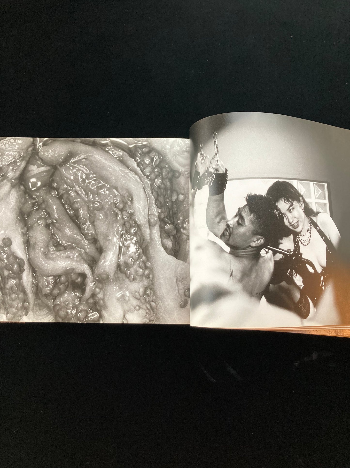 "Sawa" Nobuyoshi Aqaki CINEPHOTOGRAPH