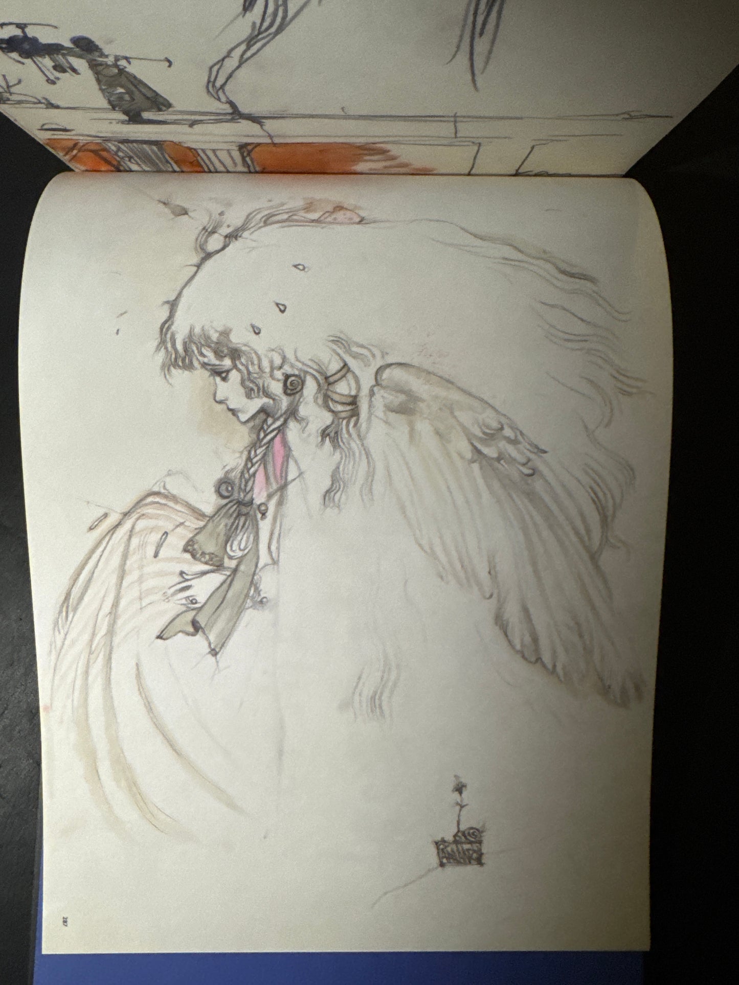 ANGEL'S EGG IMAGE BOARDS(Unopened)