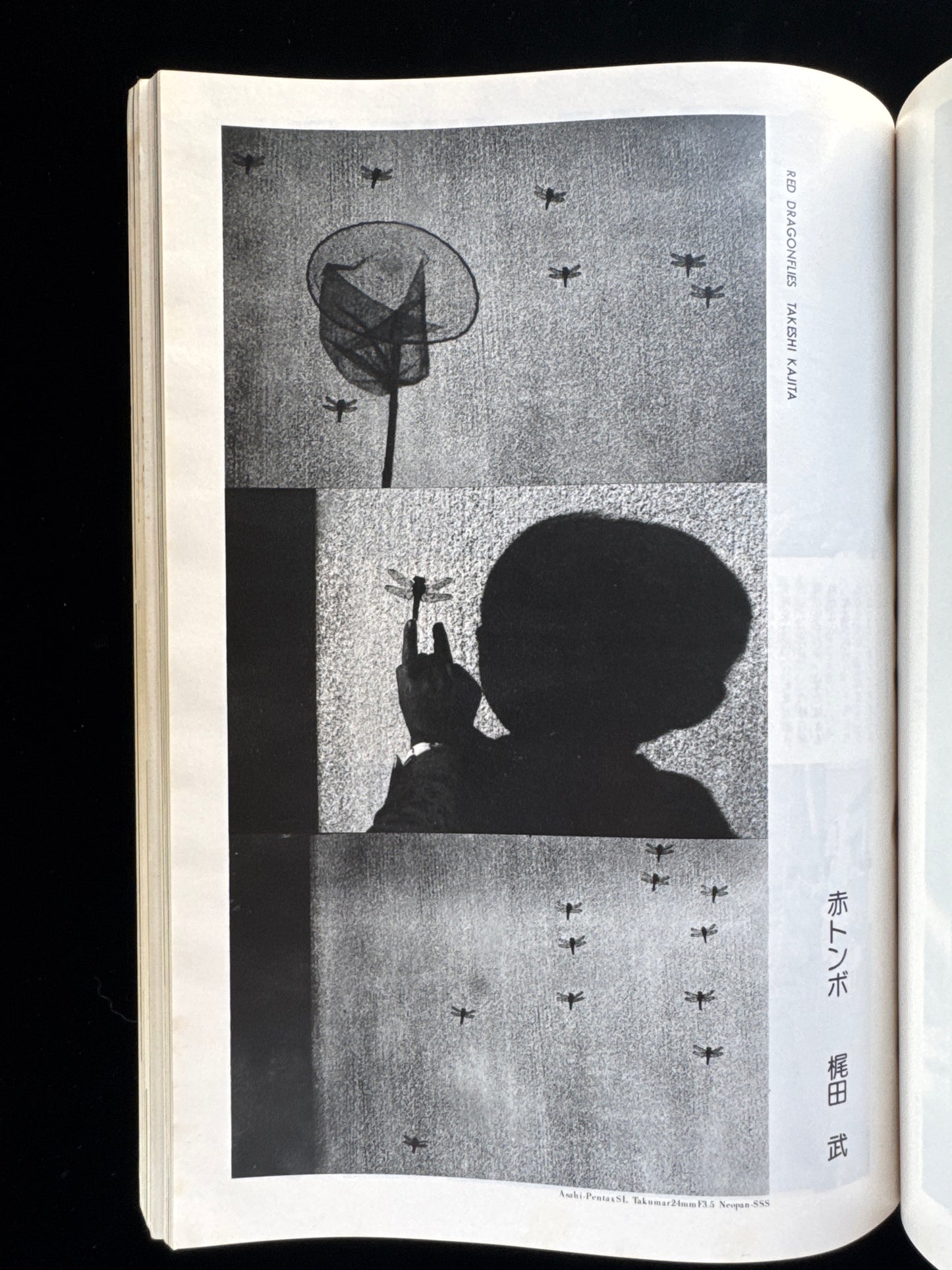 CAMERA MAINICHI 1975 Complete set