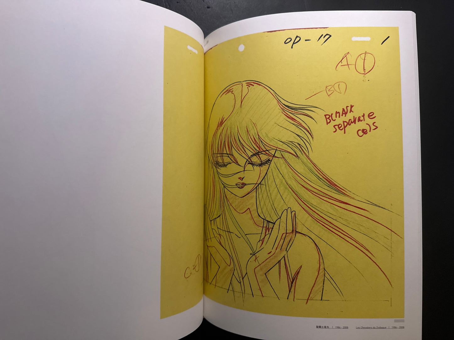 SHINGO ARAKI 1939-2011 : Hitomi to Tamashii (Eyes and Soul)