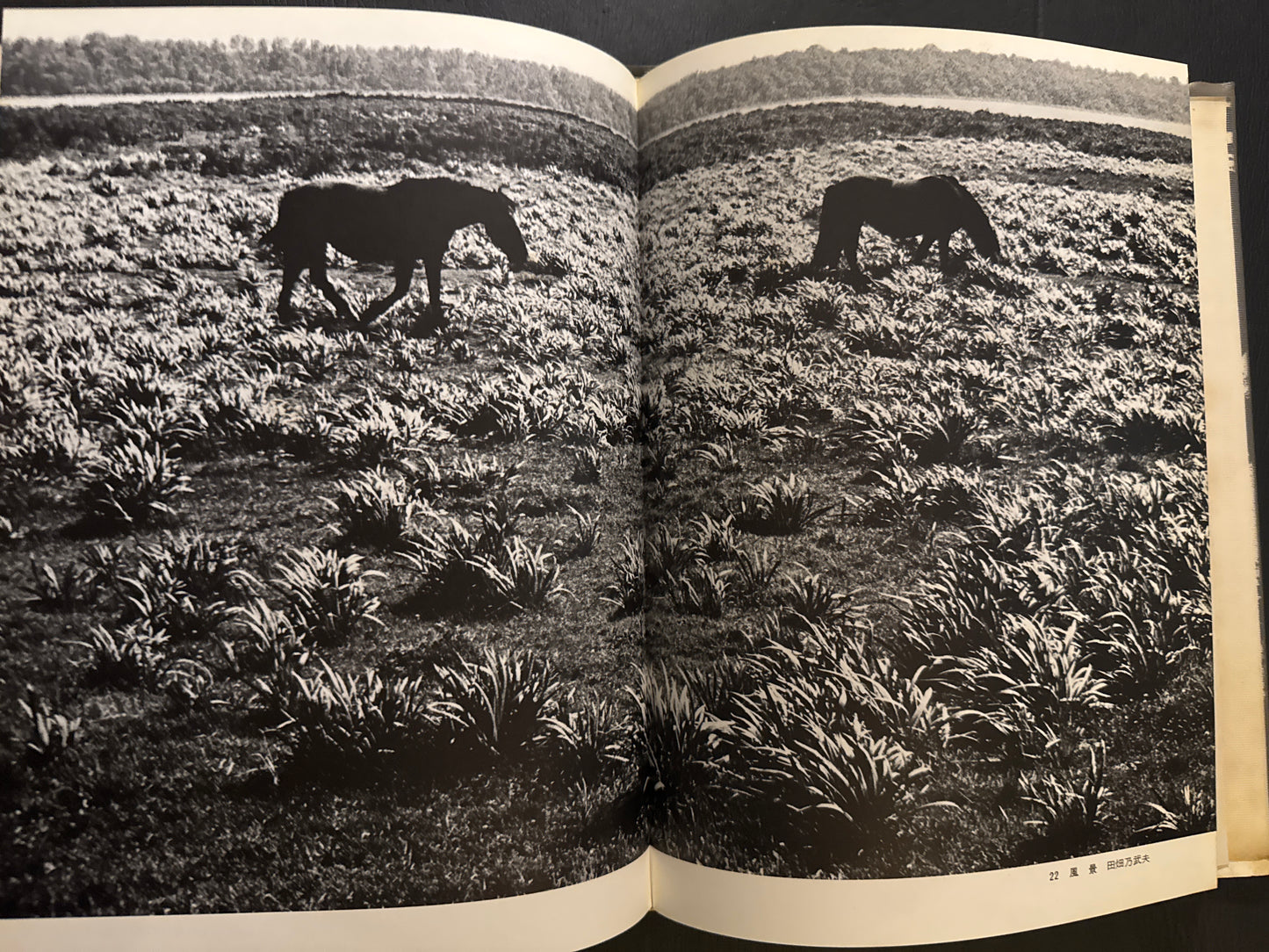 Selected Works of NANIWA SHASHIN CLUB 60th anniversary 1966