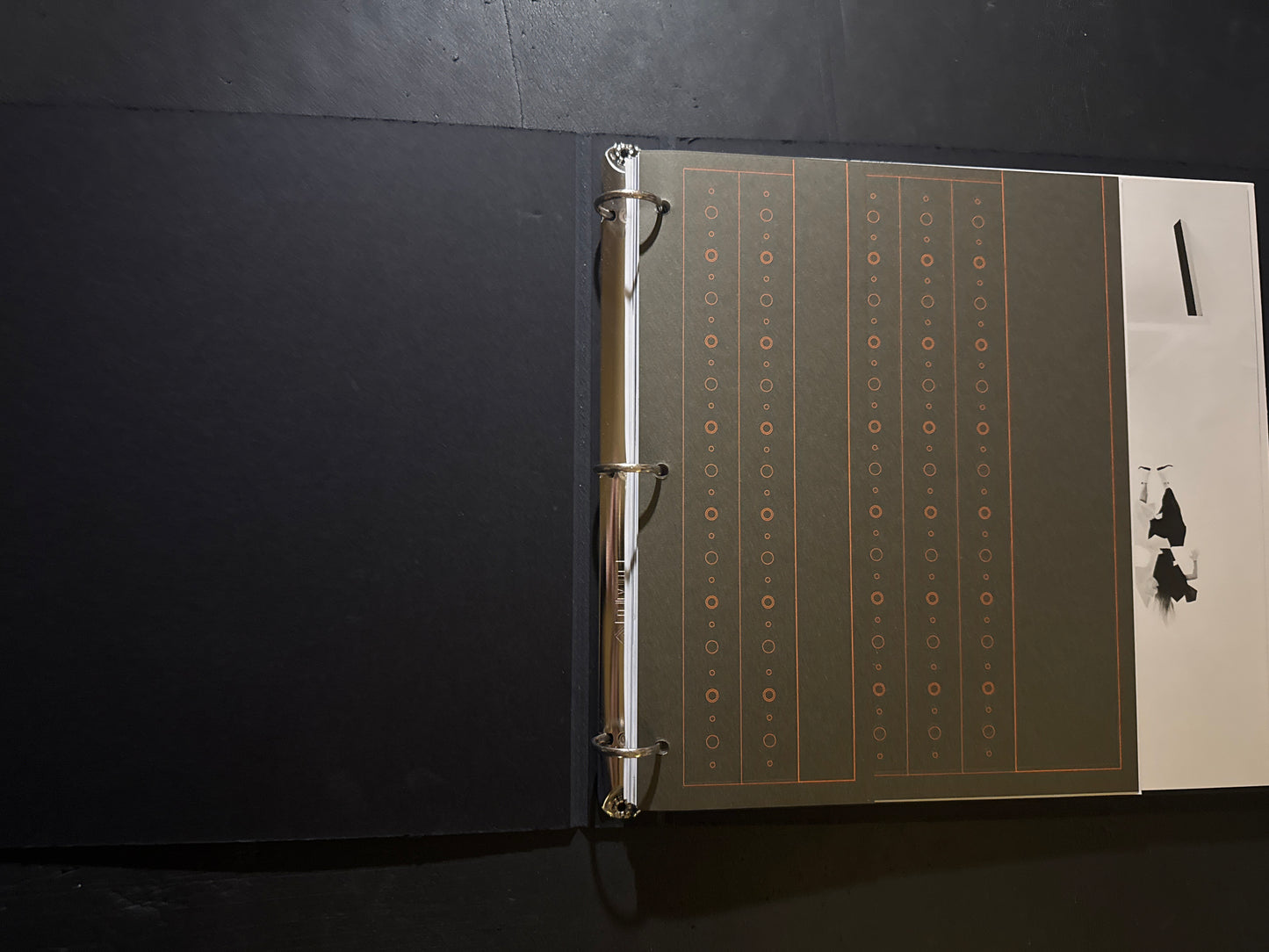 Perspective Libre : Limited 1000 copies Collector Edition