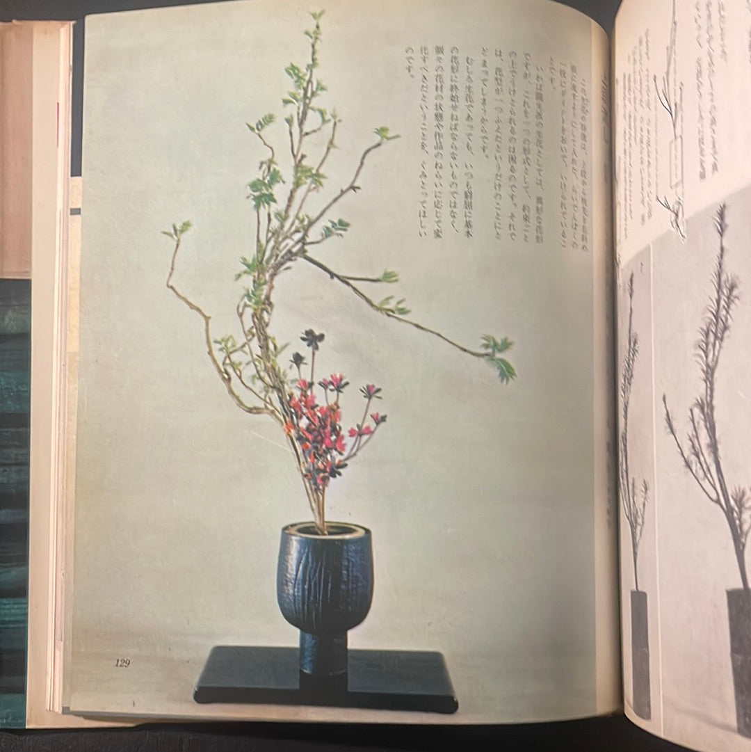 Ikebana graphic complete set