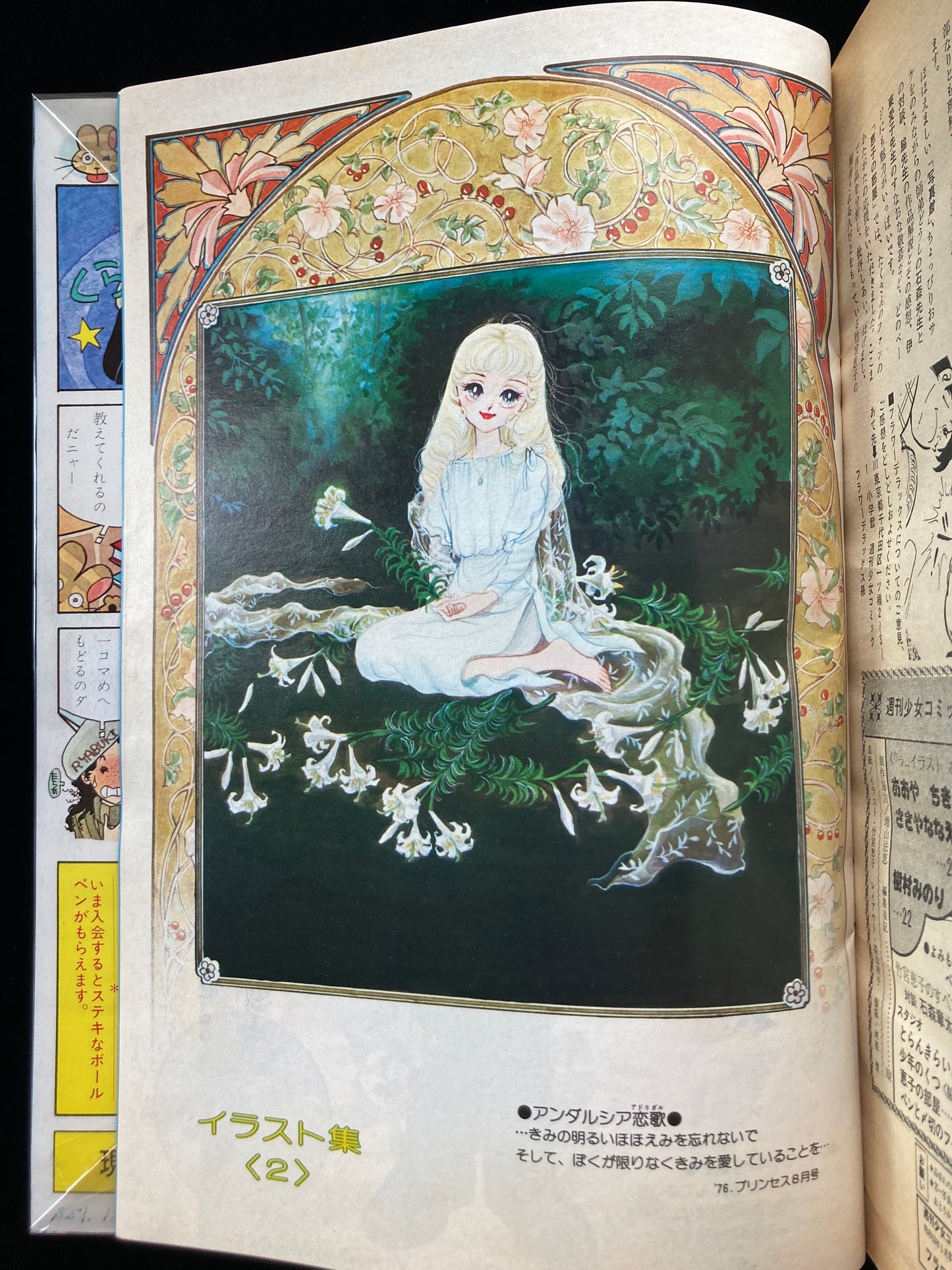 "Flower Deluxe" Keiko Takemiya illustration book