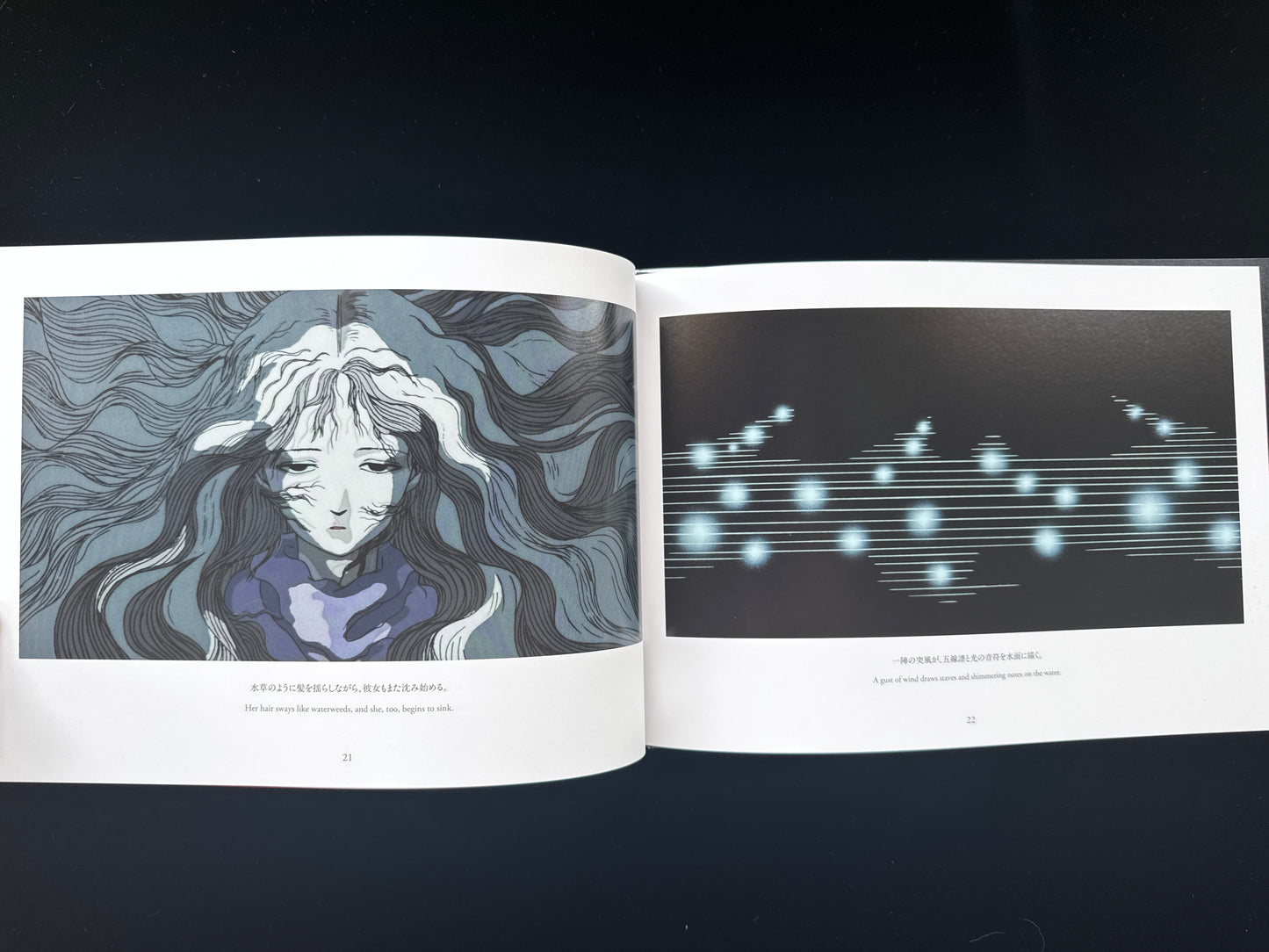 Angel's Egg THE VISUAL COLLECTION