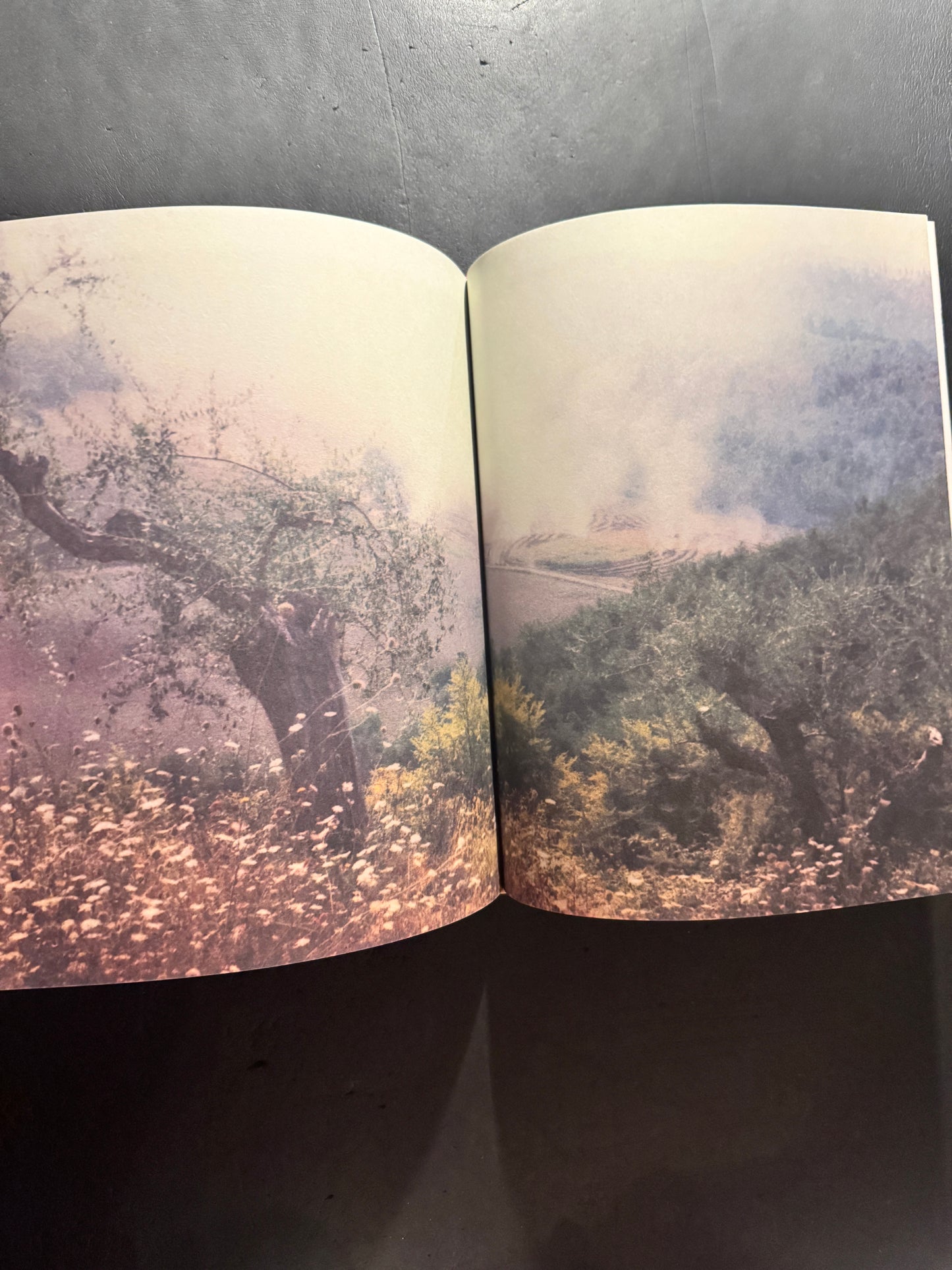 Bright, Bright Day (Russian edition)