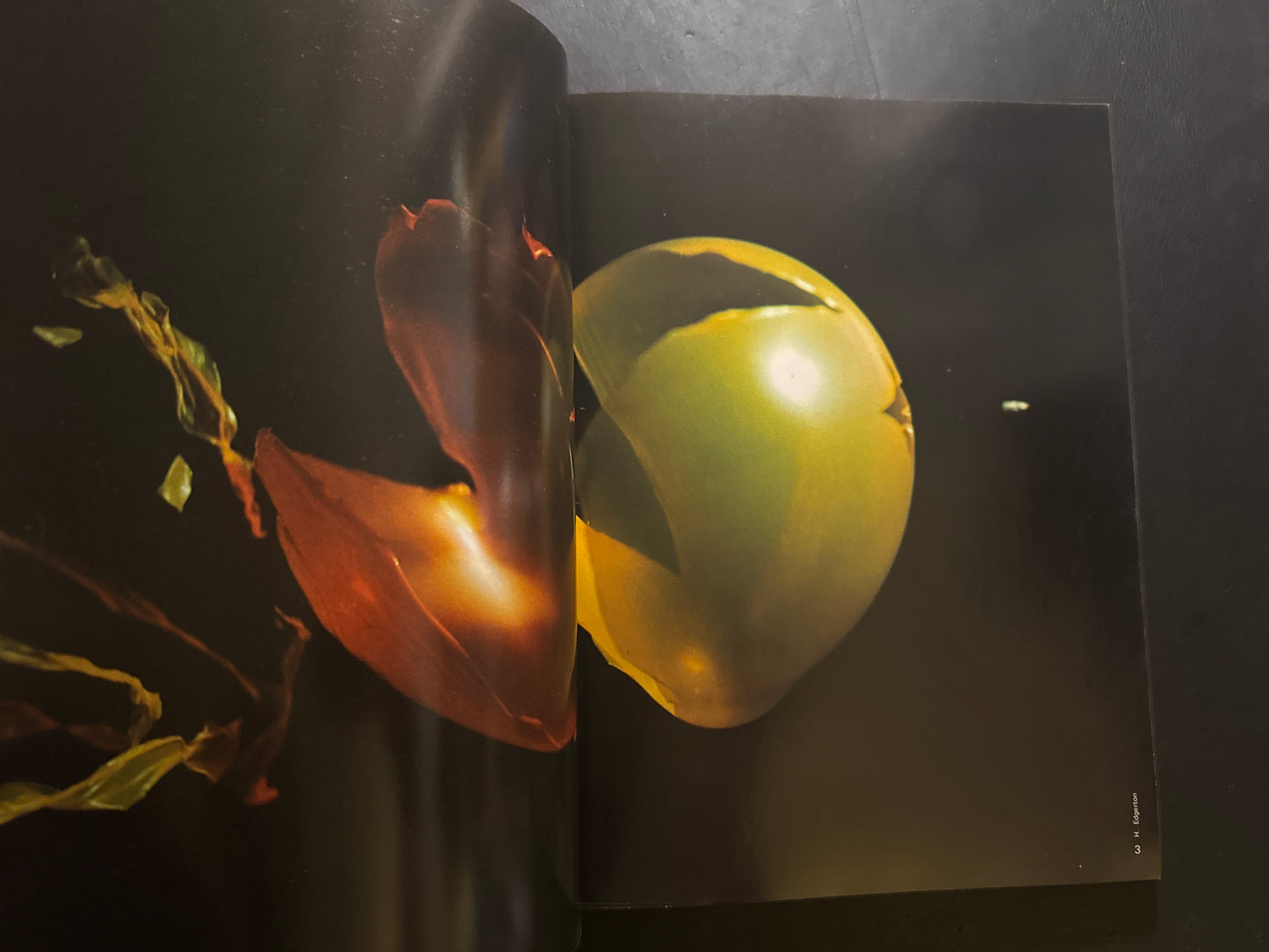 instant : High-Speed Photography