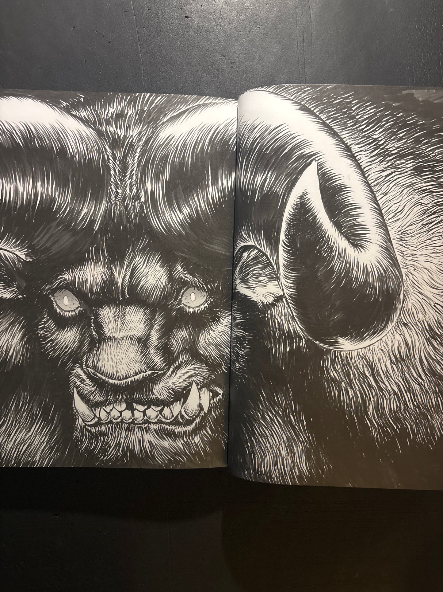 THE ARTWORK OF BERSERK