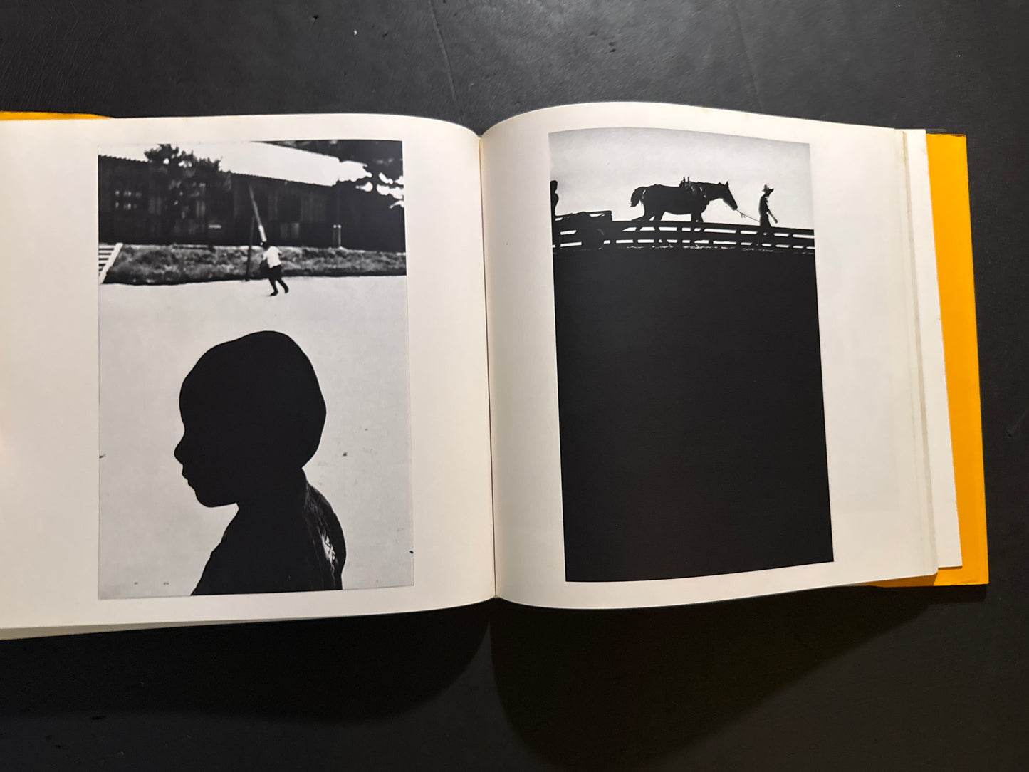 Sand Dunes / Seasons of the Children